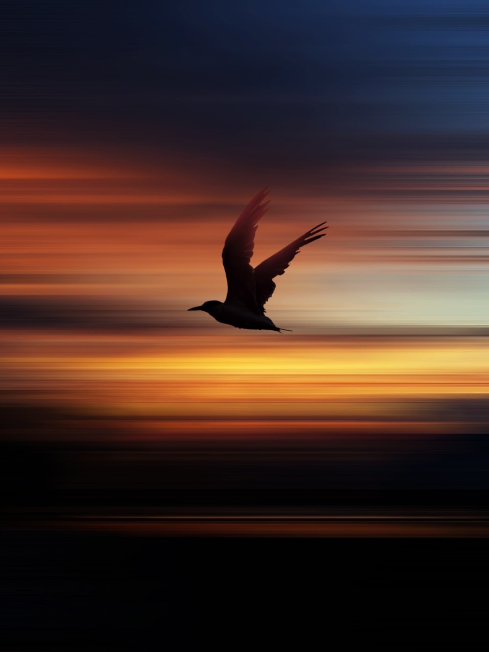 Birds Sunset Picture. Download Free Image