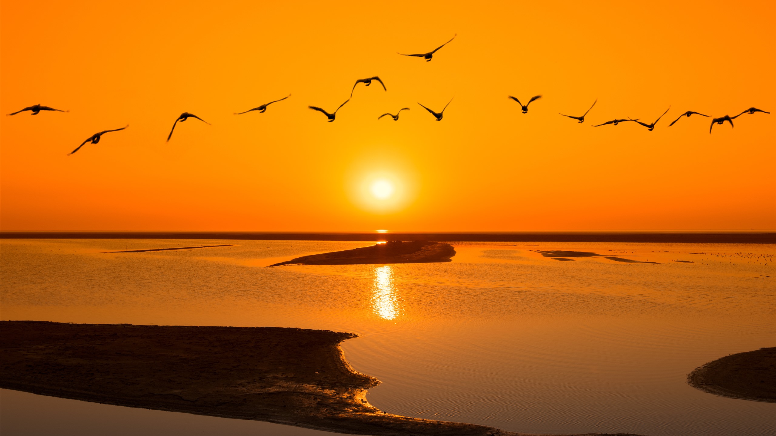Wallpaper Lake, water, sunset, birds flight 3840x2160 UHD 4K Picture, Image