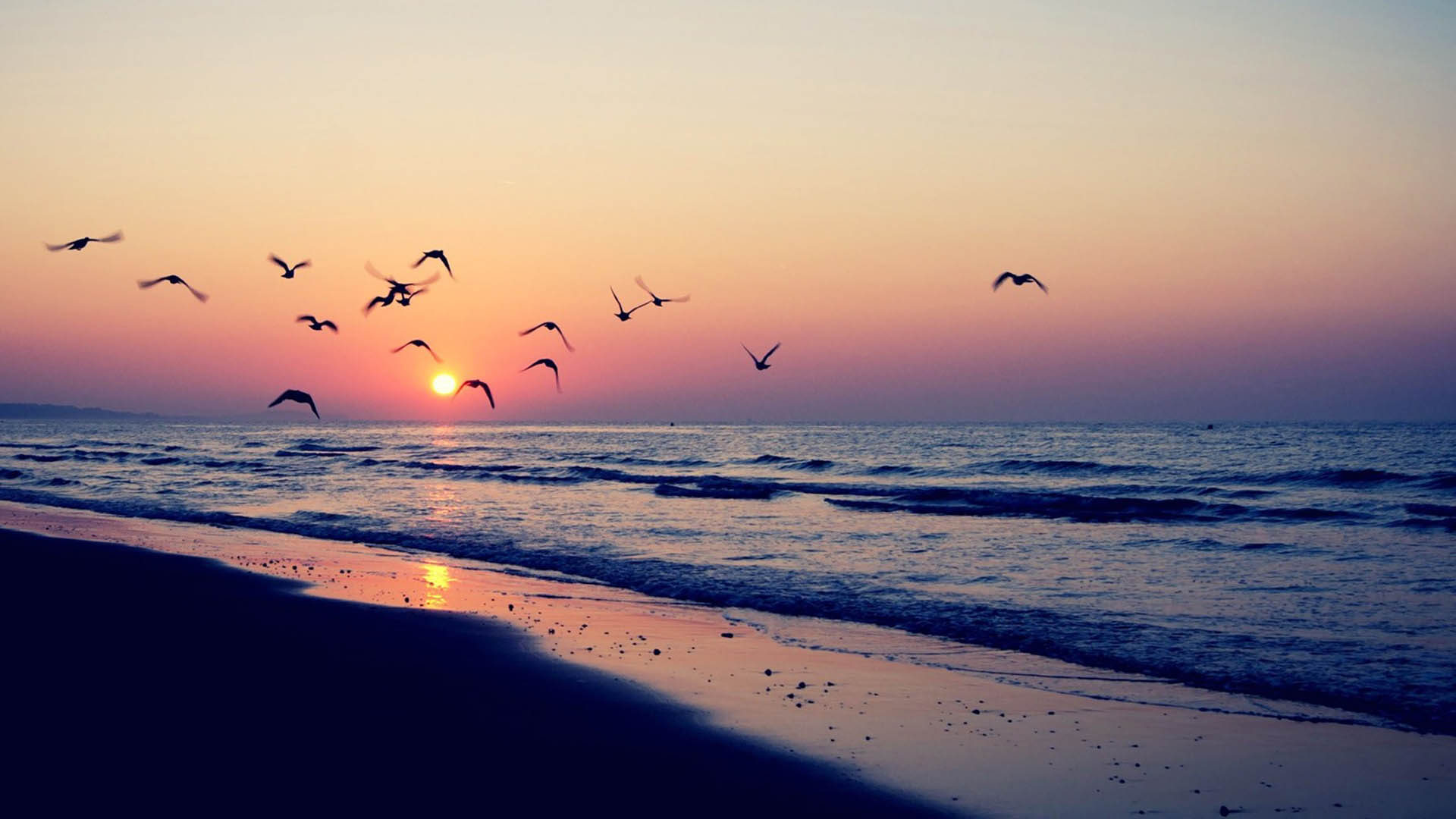 Sunset On The Beach Sea Waves Birds Flying In The Sky Summer HD Wallpaper, Wallpaper13.com