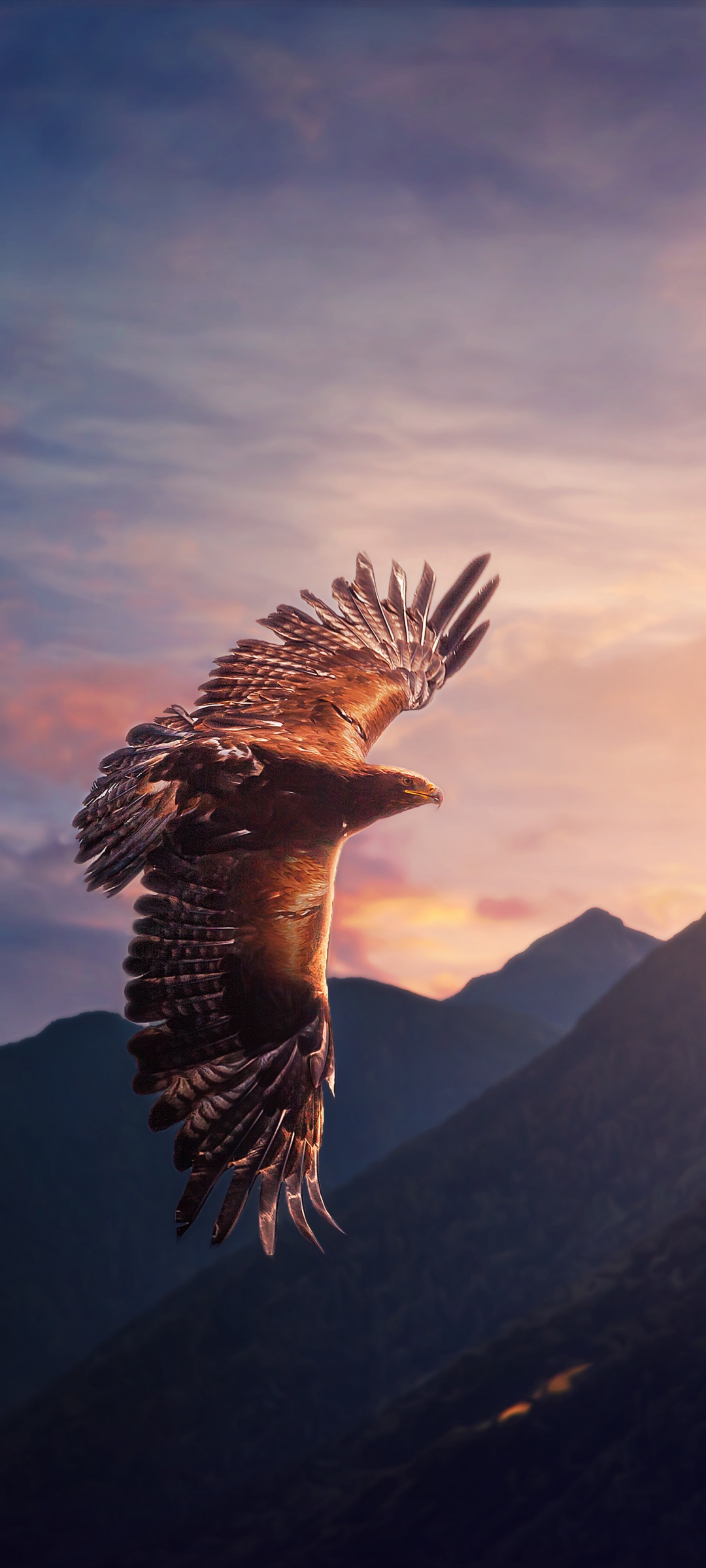 Eagle Wallpaper 4K, Sunset, Mountains