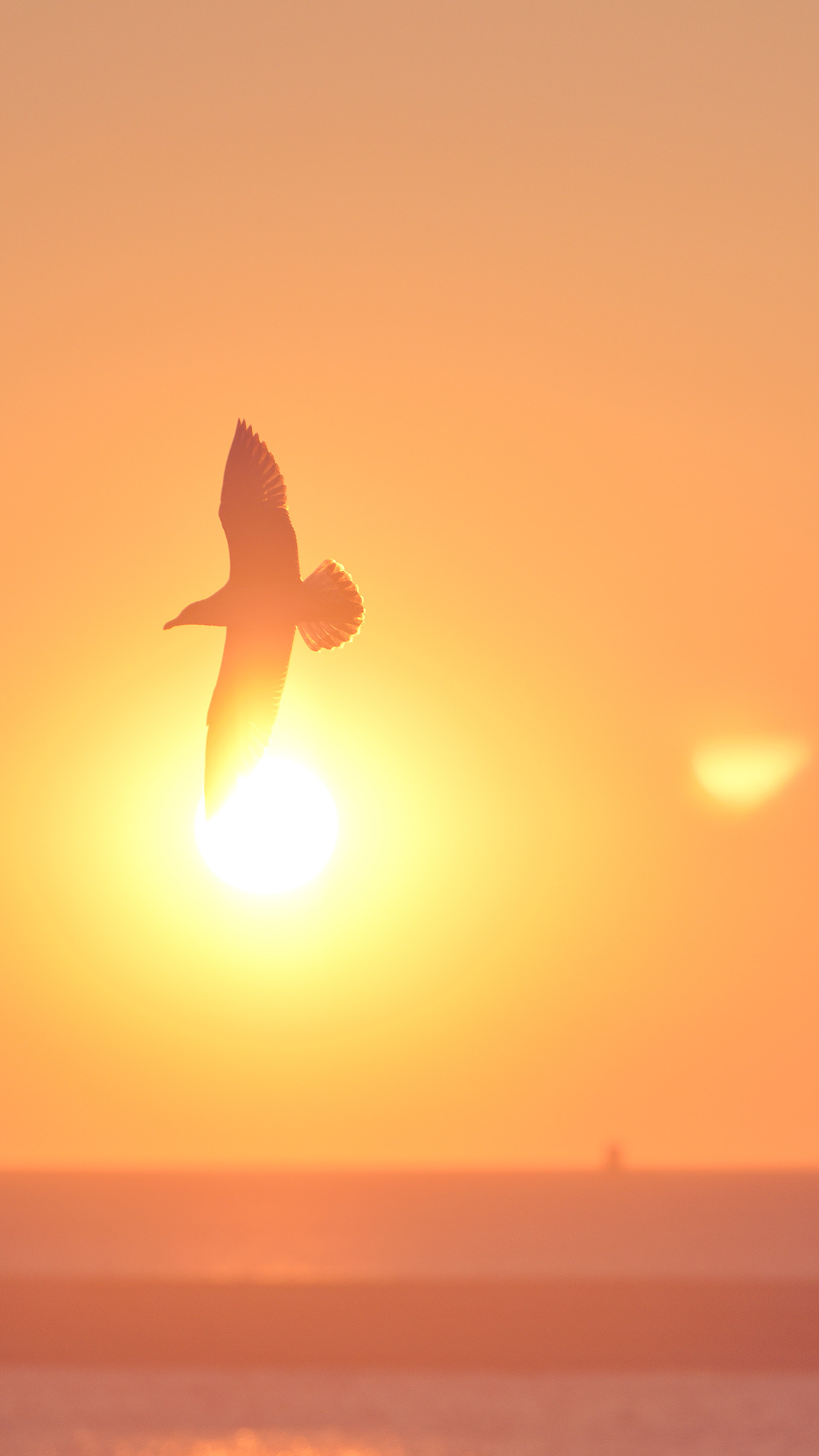 iPhone X wallpaper. sunset bird pink sea gal