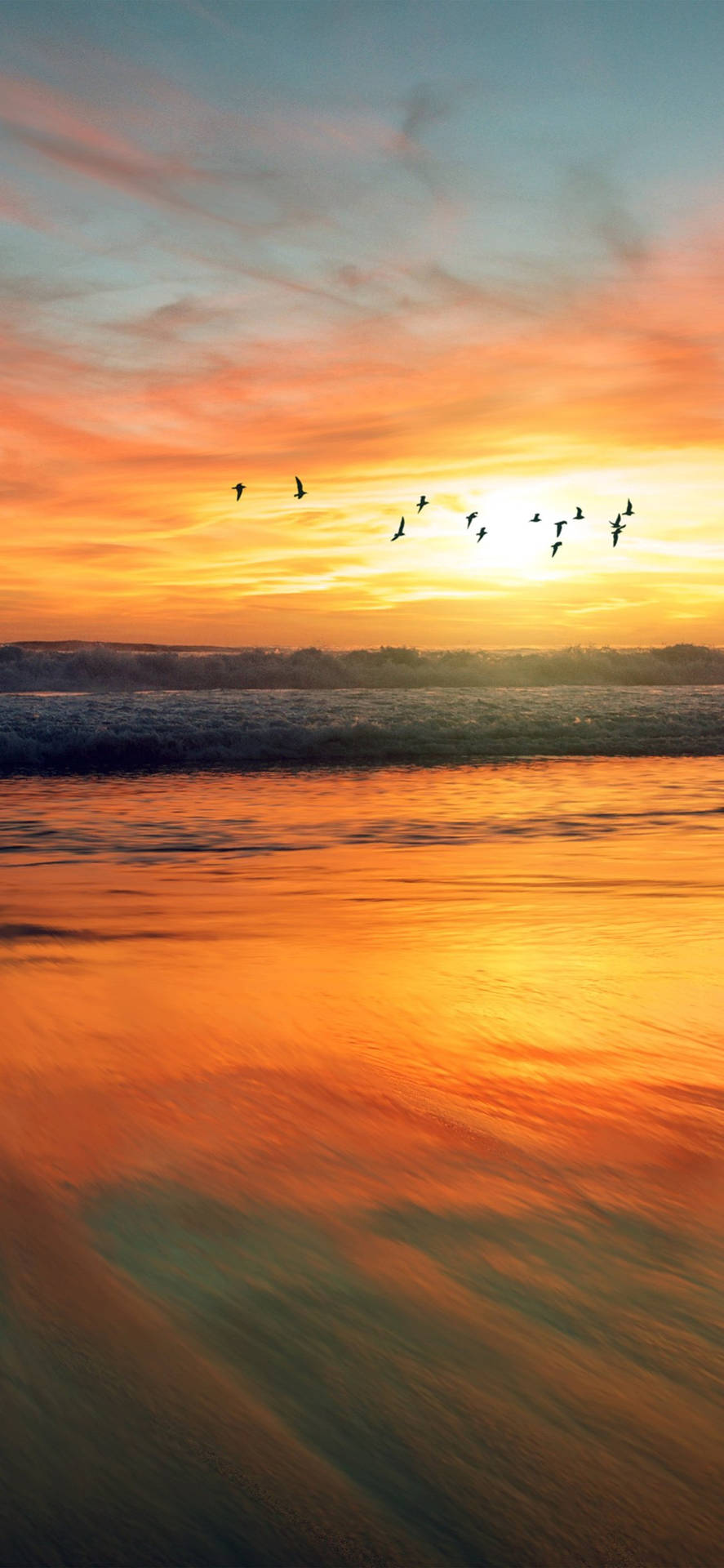 Download Sunset Ocean With Birds Wallpaper