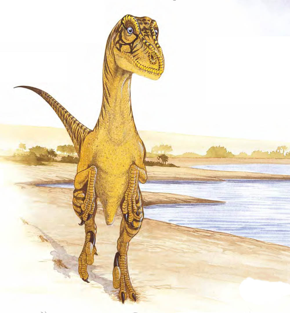 Deinonychus