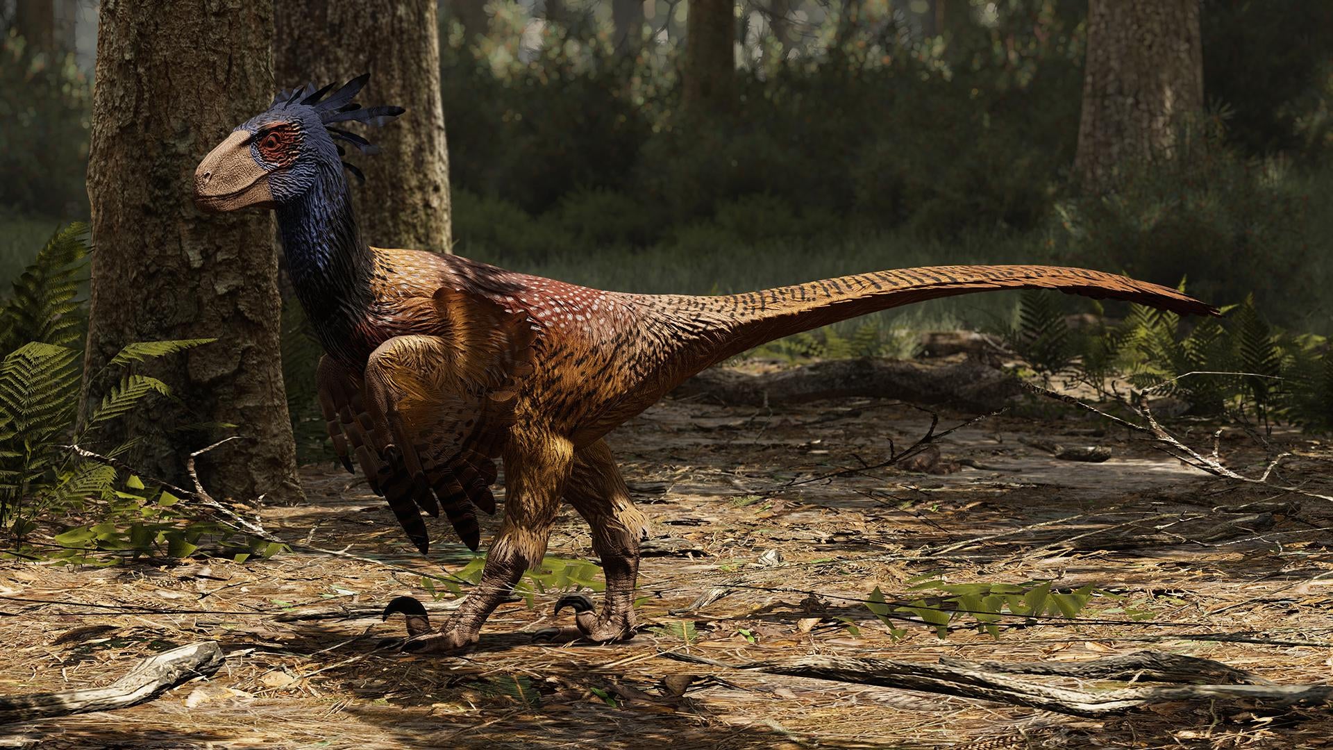 Panjura Gondwa Wildlife Study Part 1: Deinonychus
