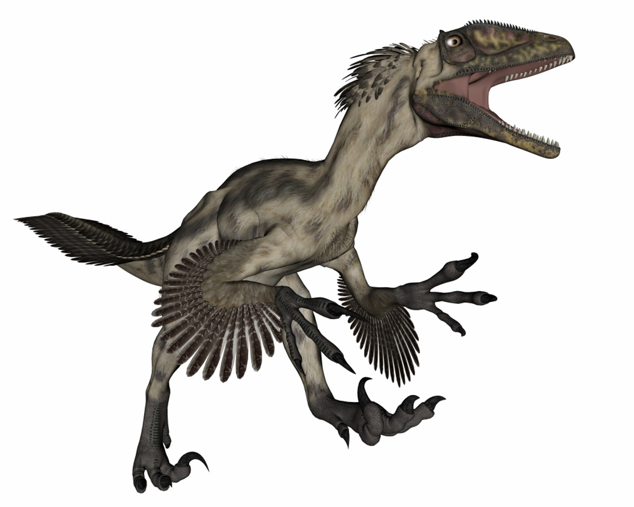 Deinonychus Dinosaur Roaring, Isolated On White Background. Poster Print By Elena Duvernay Stocktrek Image # VARPSTEDV600405P