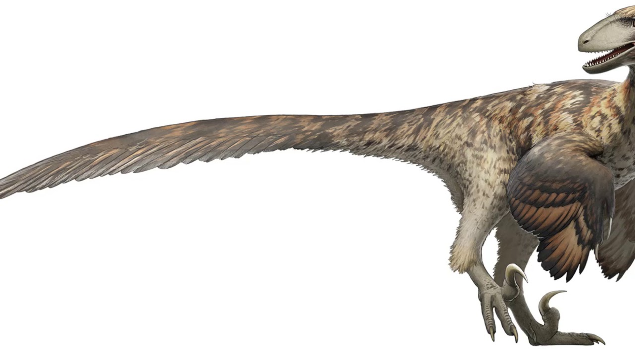 deinonychus sounds