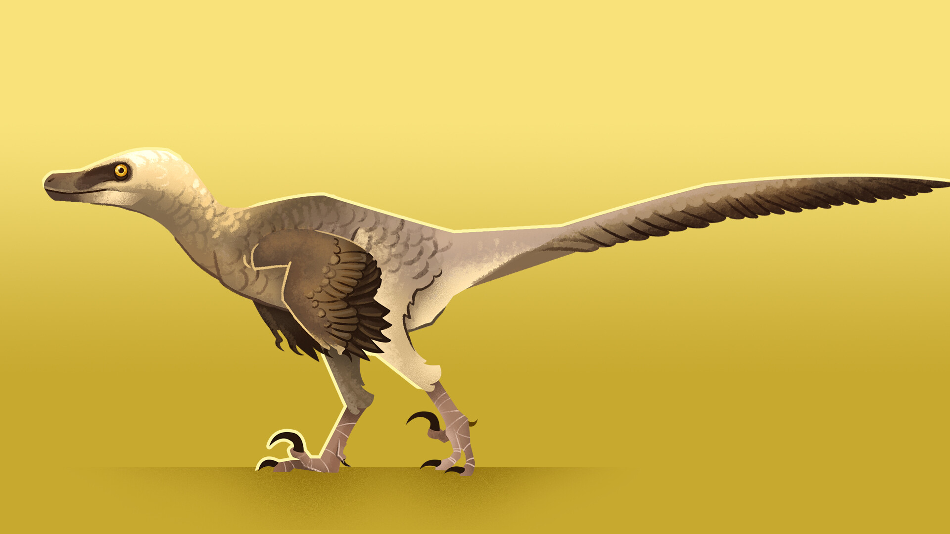 Greco Westermann and Velociraptor