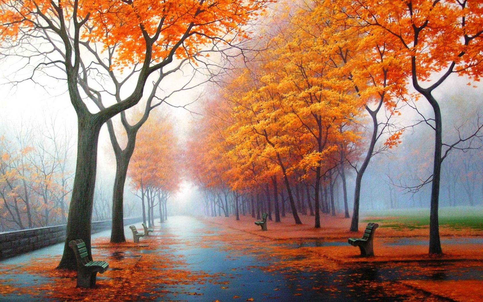 Wallpaper Foggy Autumn 1680x1050 HD Picture, Image