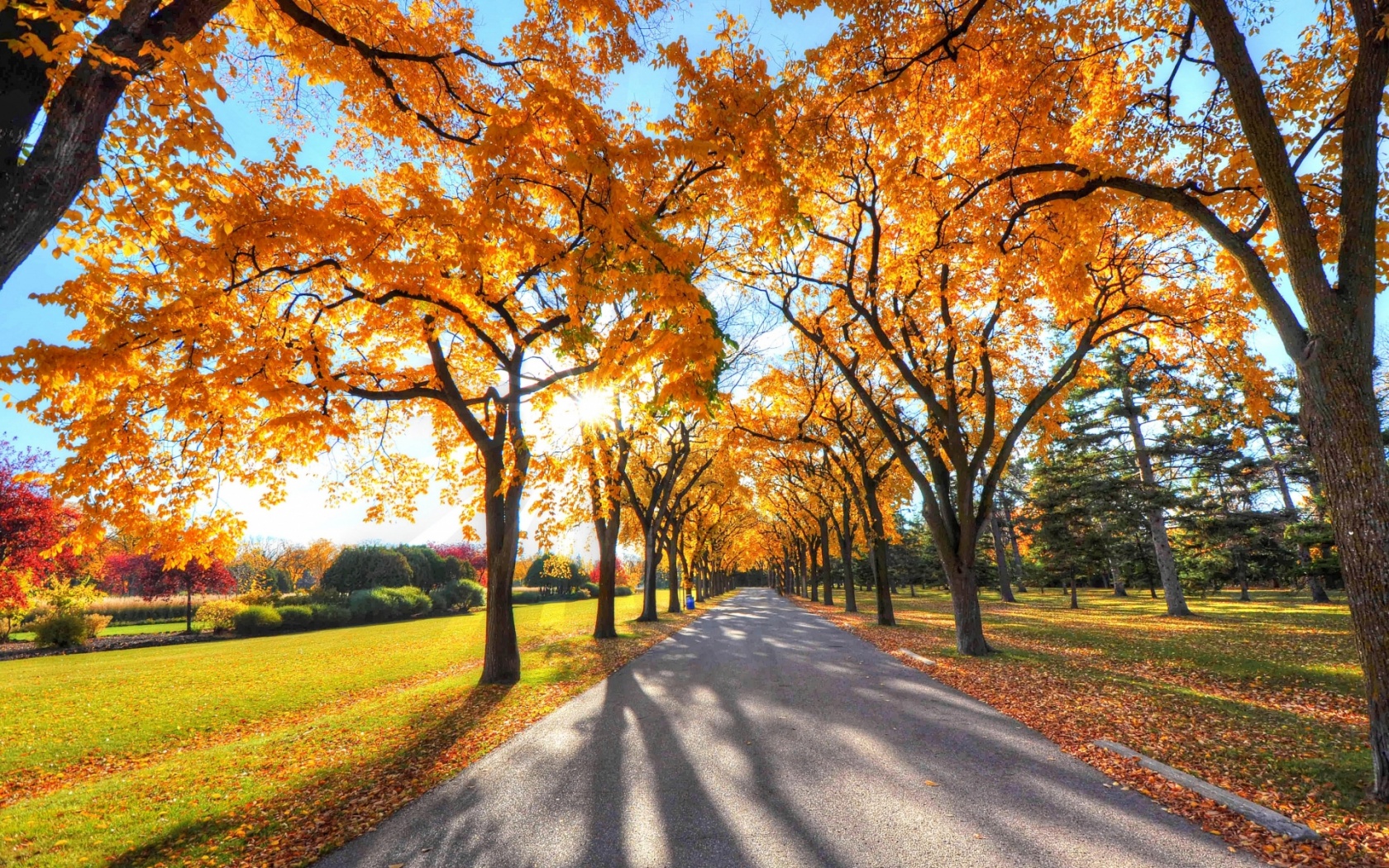 Autumn Park Sunlight Road desktop PC and Mac wallpaper