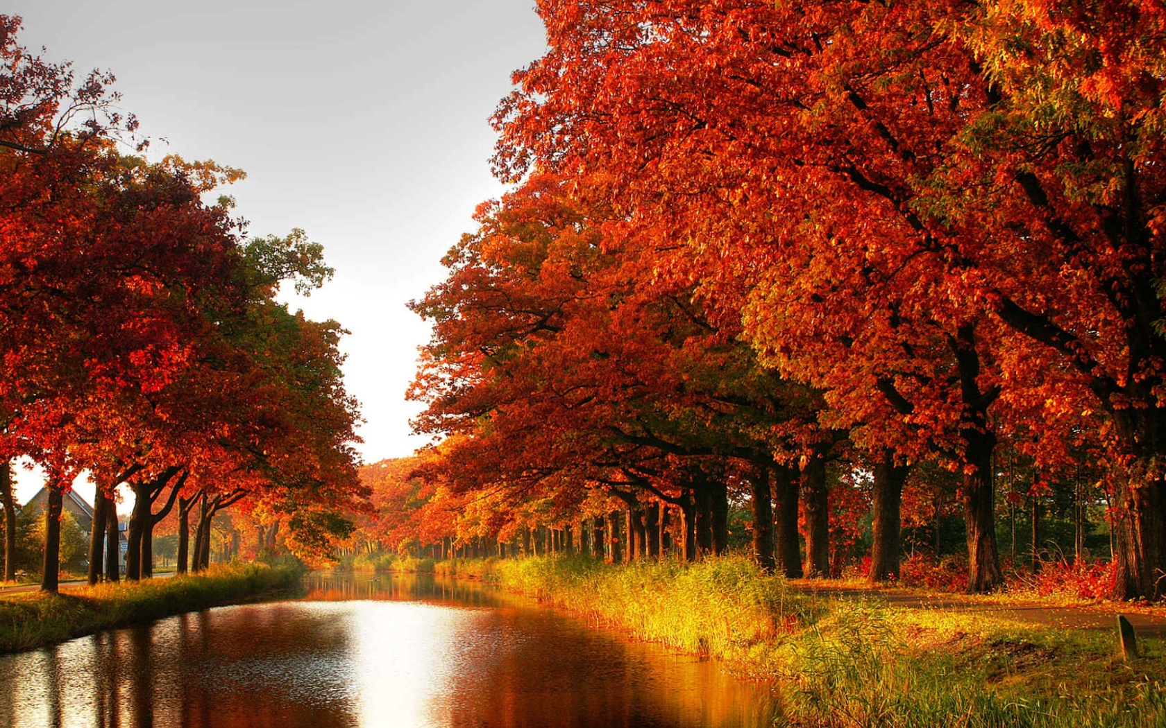 Wallpaper, wood, orange, trees, channel, autumn 1680x1050