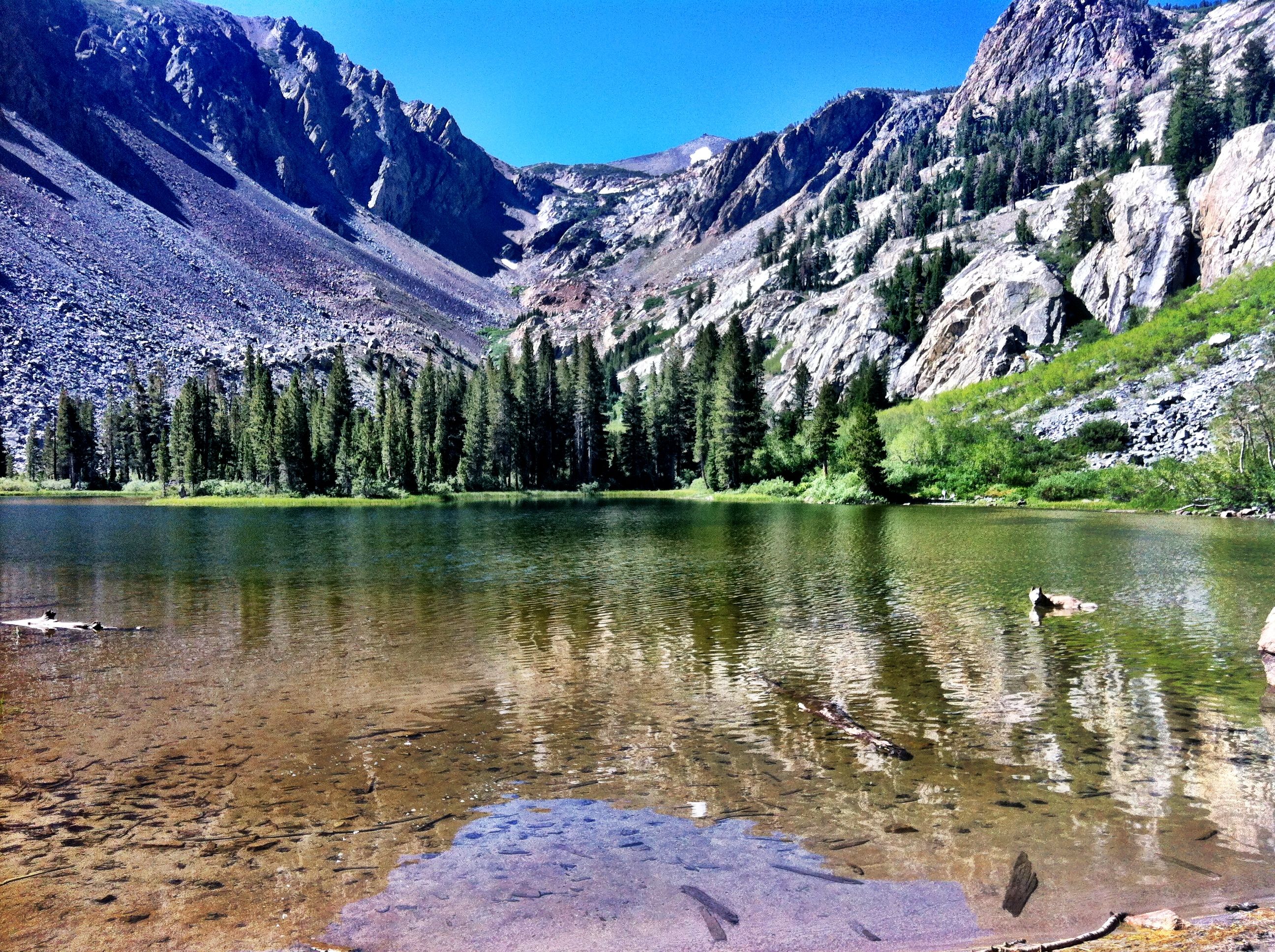 Mammoth Lakes Wallpaper