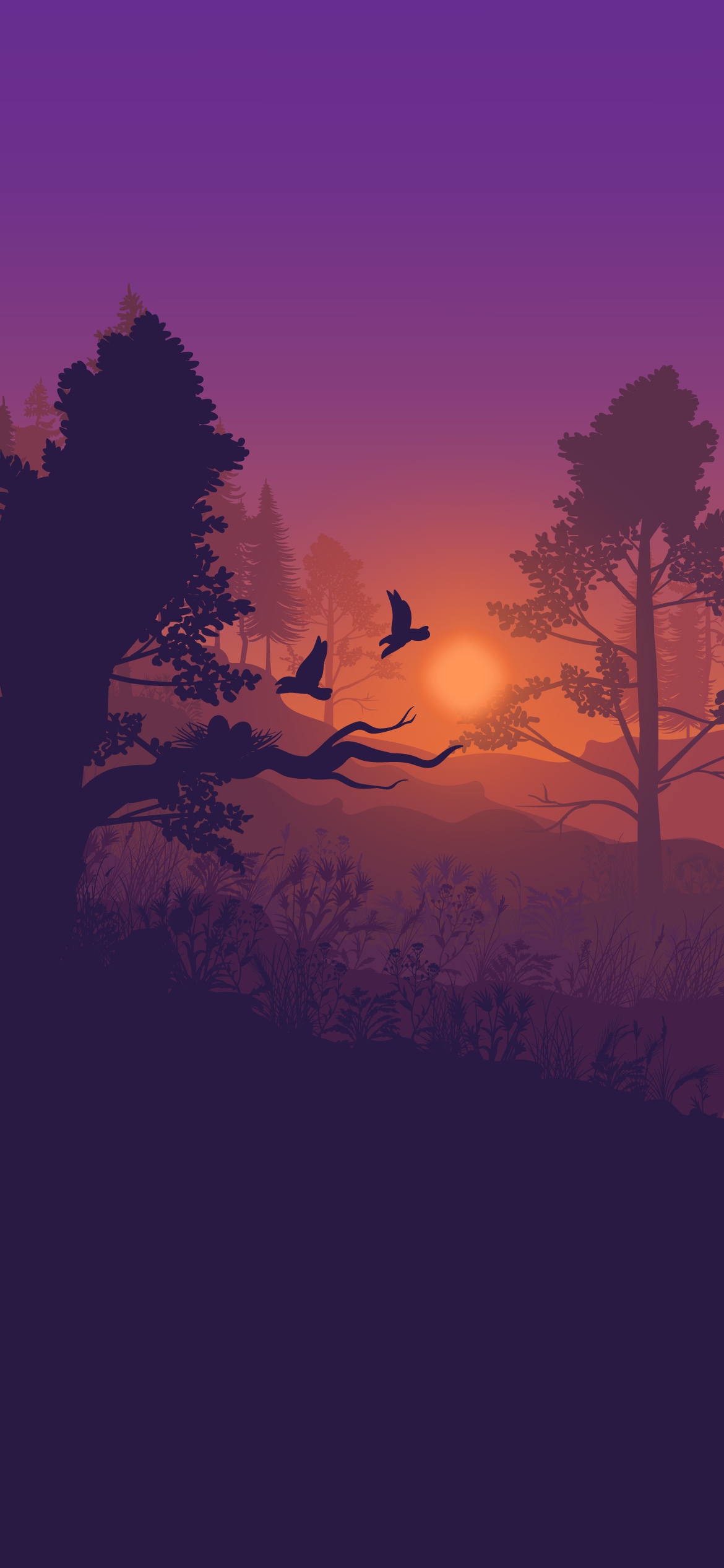 BEAUTIFUL NATURE FOREST PHONE WALLPAPER 4K