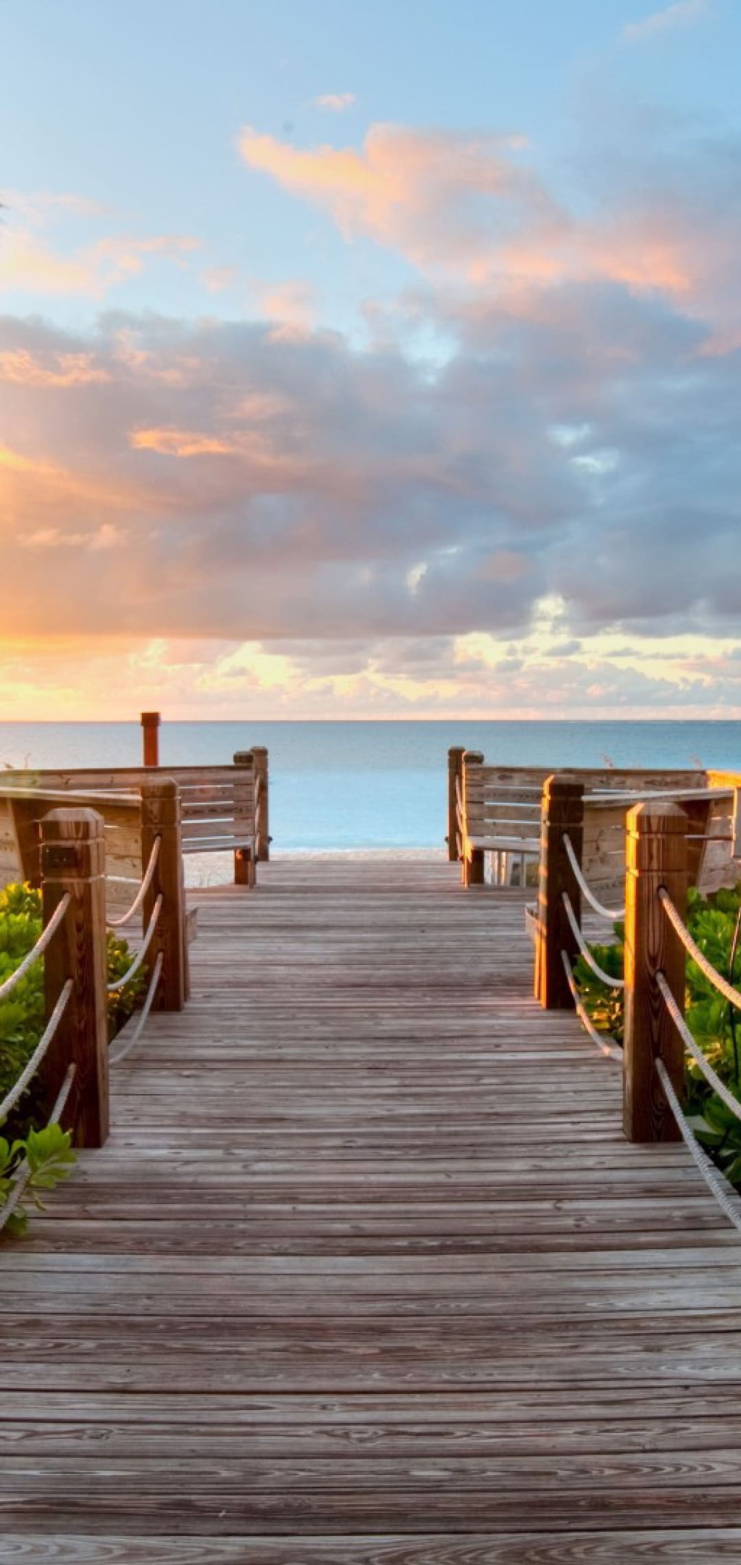 Mobile Nature 4k Wallpaper