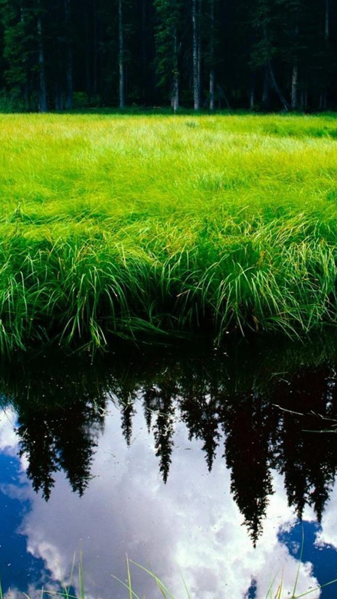 Nice Nature Wallpaper For Phone