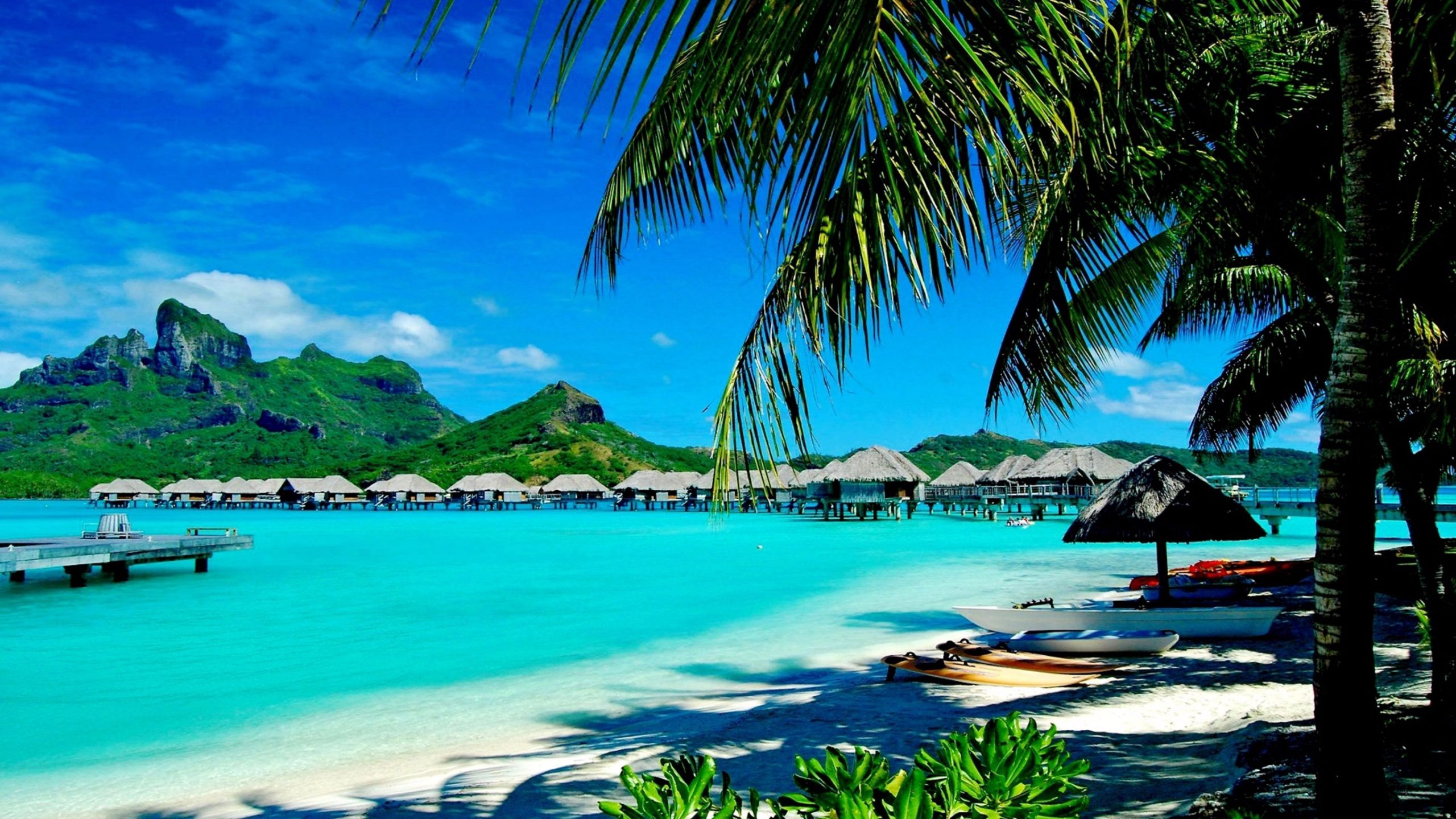 Summertime Wallpaper HD Free Download
