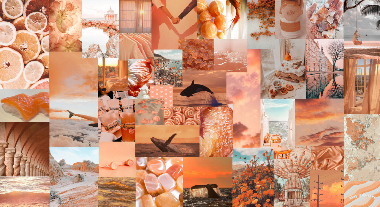 aesthetics ranging from lovely to stupid