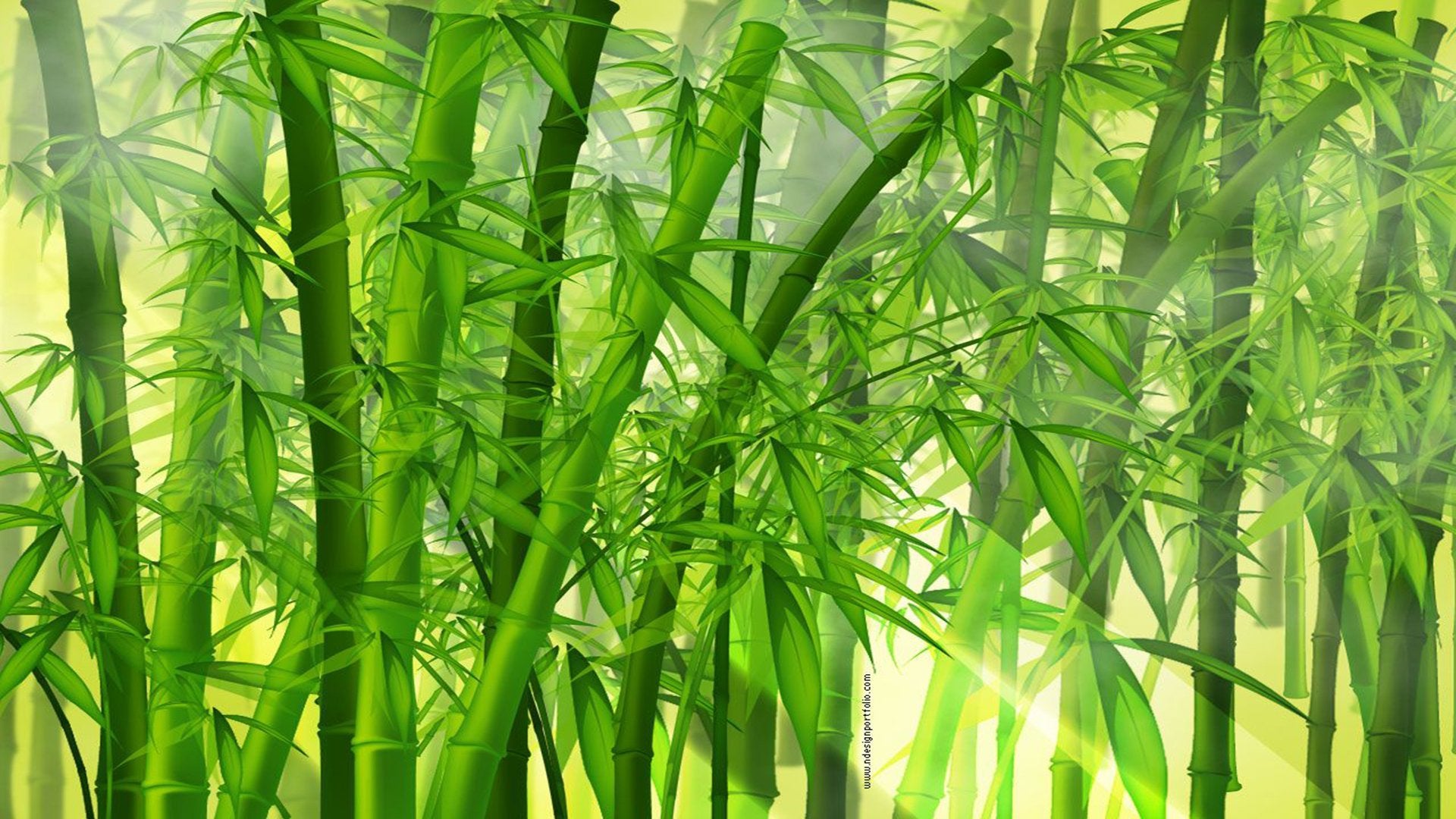 Anime Bamboo [1920×1080]