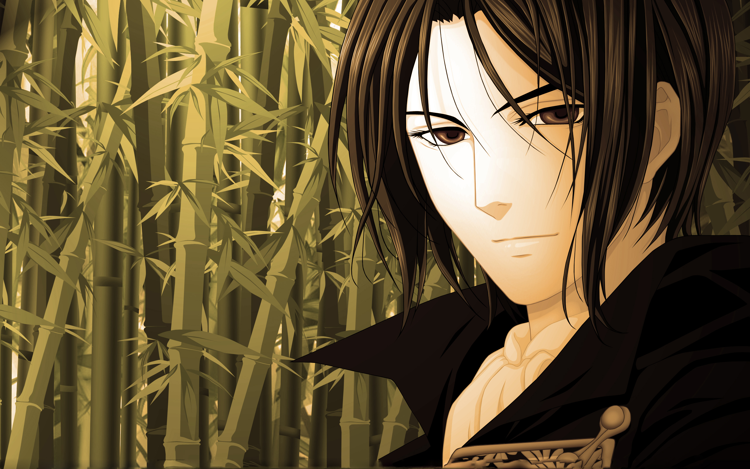Wallpaper, anime, bamboo, guy, screenshot, mangaka, hakuouki, shinsengumi kitan 2560x1600