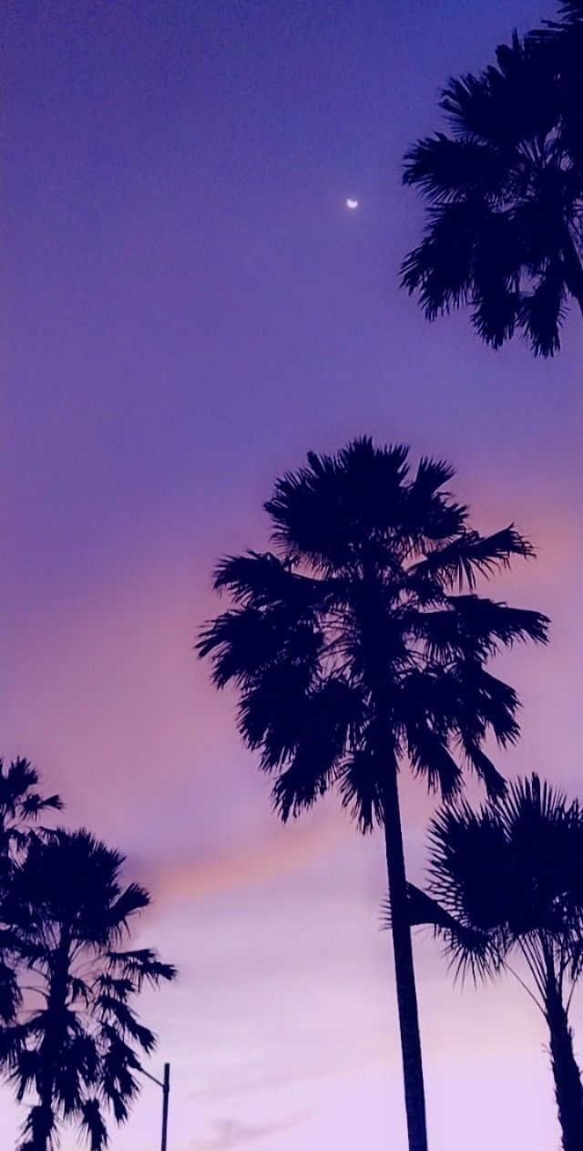 purple sky. Resim, Manzara resimleri, Manzara