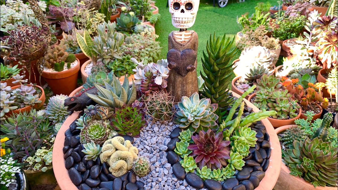 Halloween Succulent Arrangement