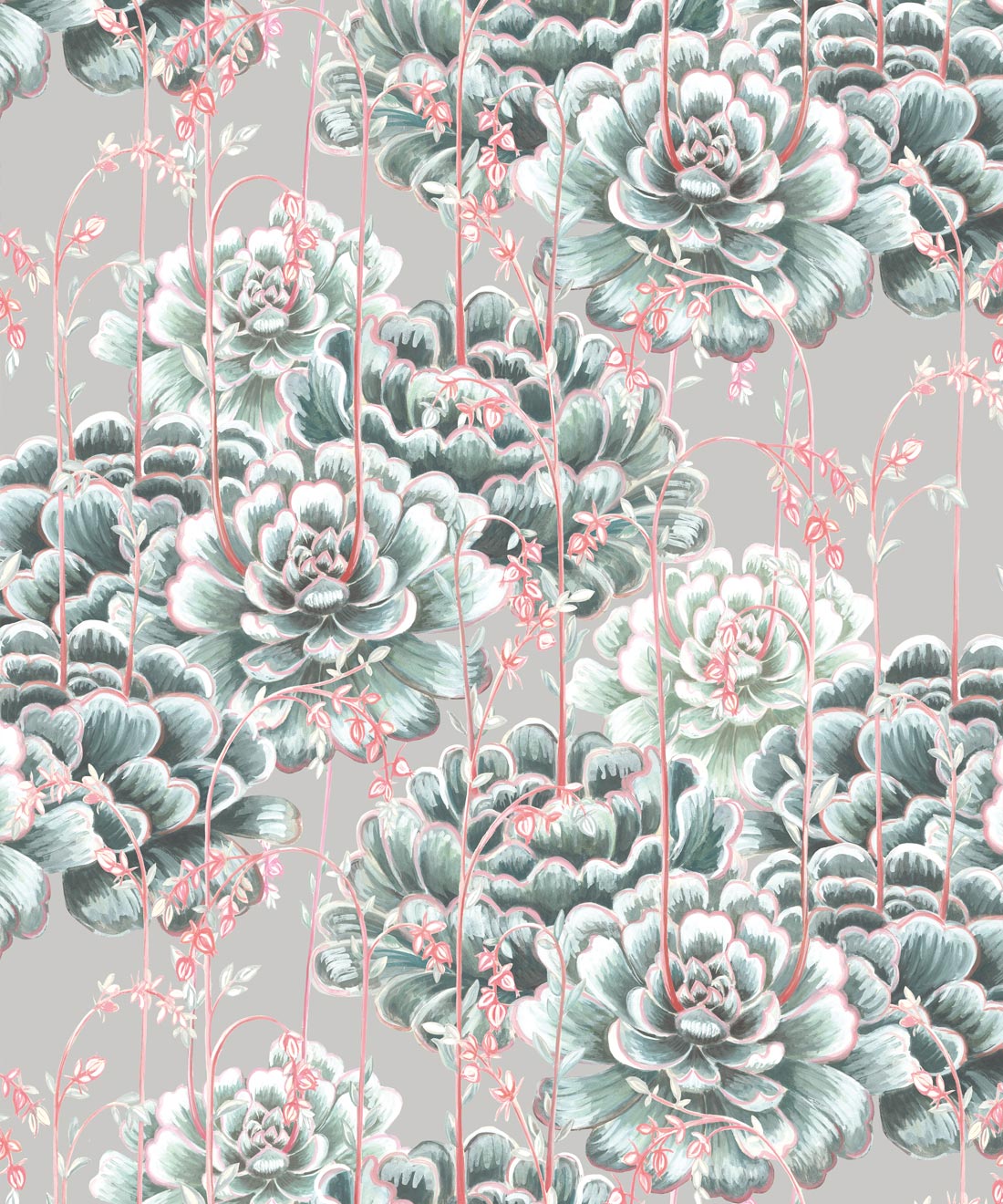 Succulents Wallpaper • Stunning Cactus Design Europe