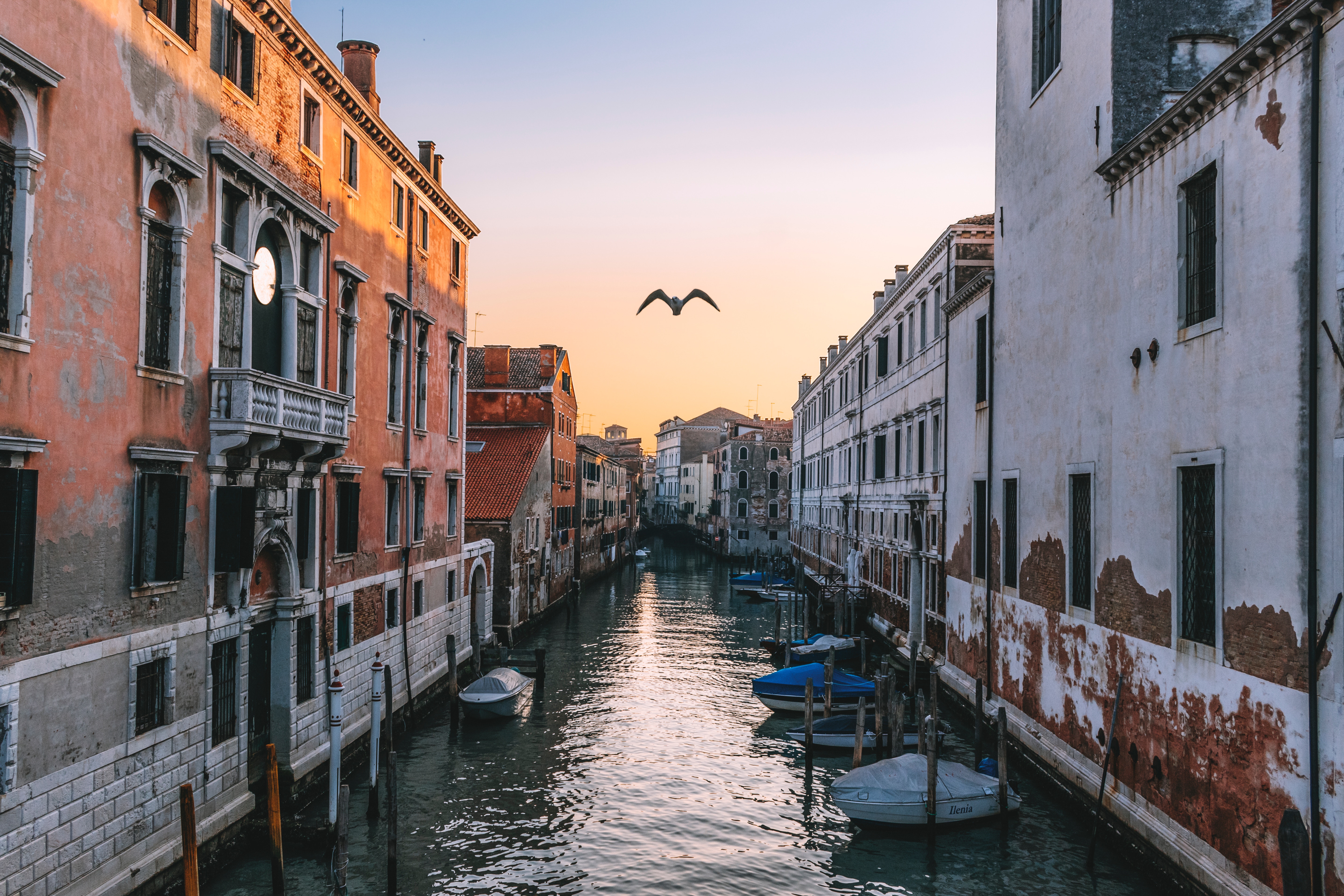 Download Venice wallpaper for mobile phone, free Venice HD picture