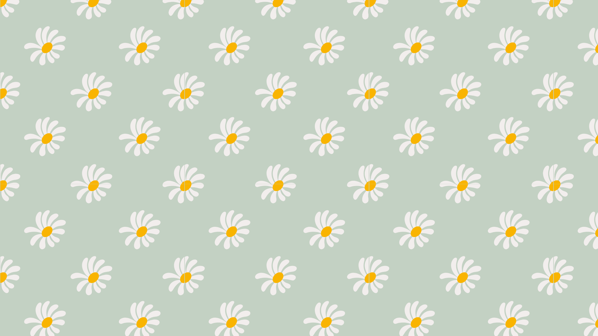 Sage Green Aesthetic Wallpaper