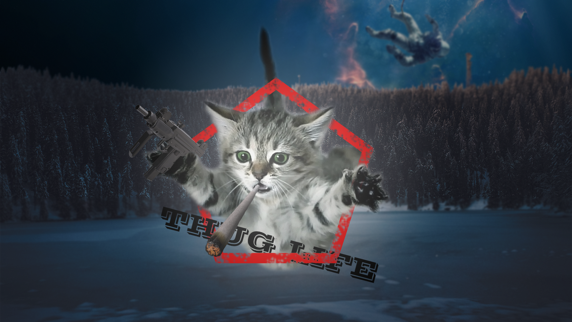 Wallpaper, ps, thug life, cat, gangster, astronaut, forest, lake 1920x1080