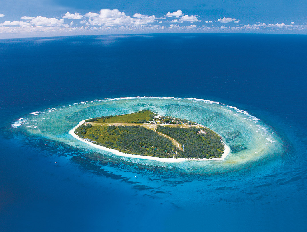 The Charms of Lady Elliot Island
