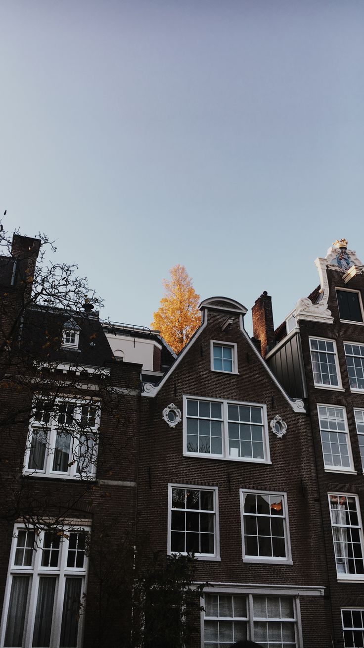 Amsterdam, Netherlands. #wallpaper #lockscreen #photography #travel #nature. Amsterdam wallpaper, Netherlands travel, Netherlands