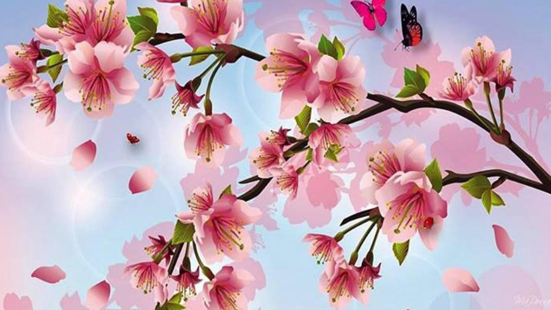 Cherry blossoms painting wallpaper cherry blossom, Wallpaper13.com