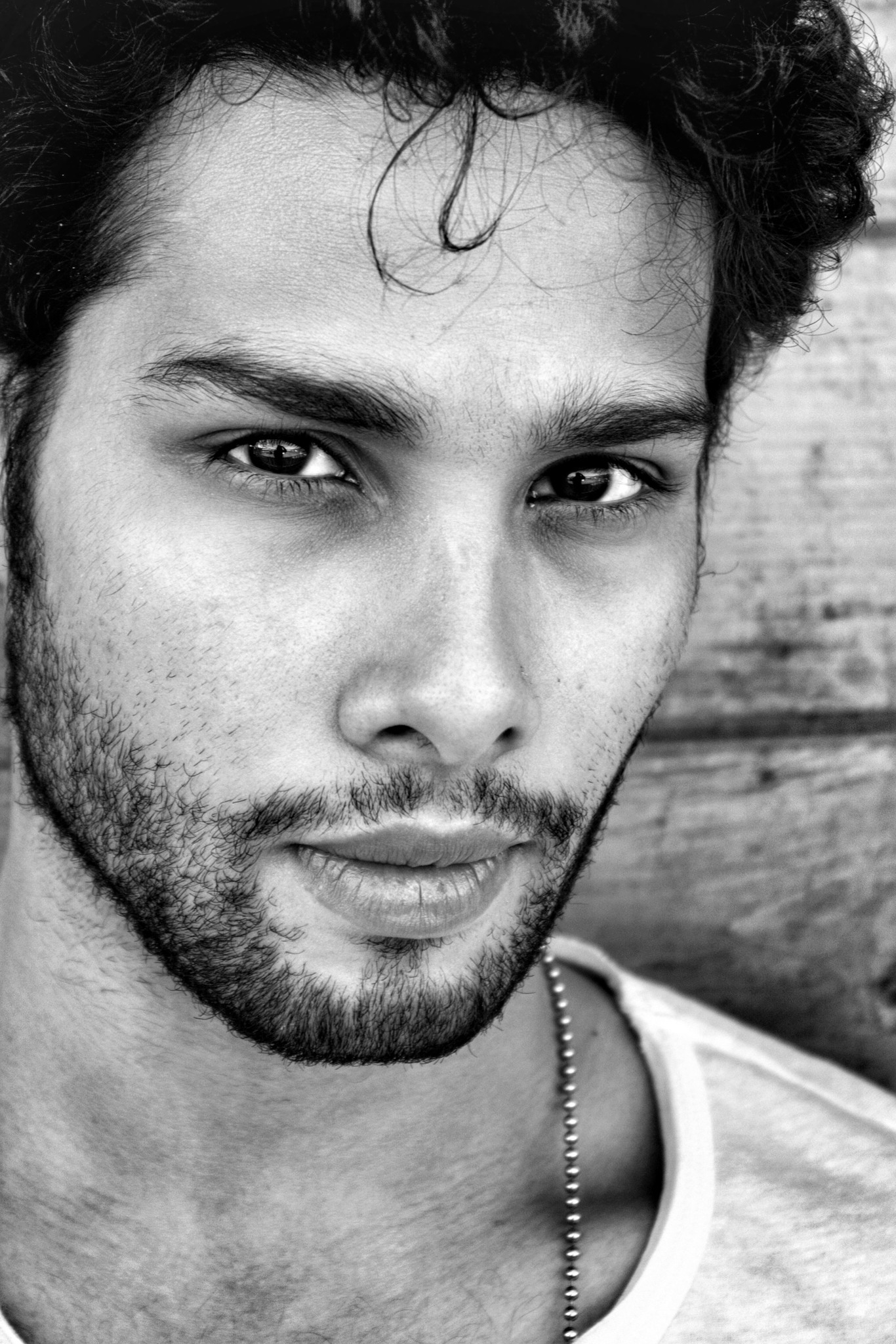 Siddhant Chaturvedi: Movies, TV