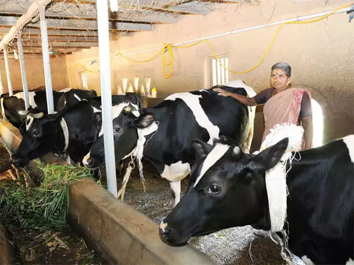 Best Animal Husbandry Companies In Europe 2023