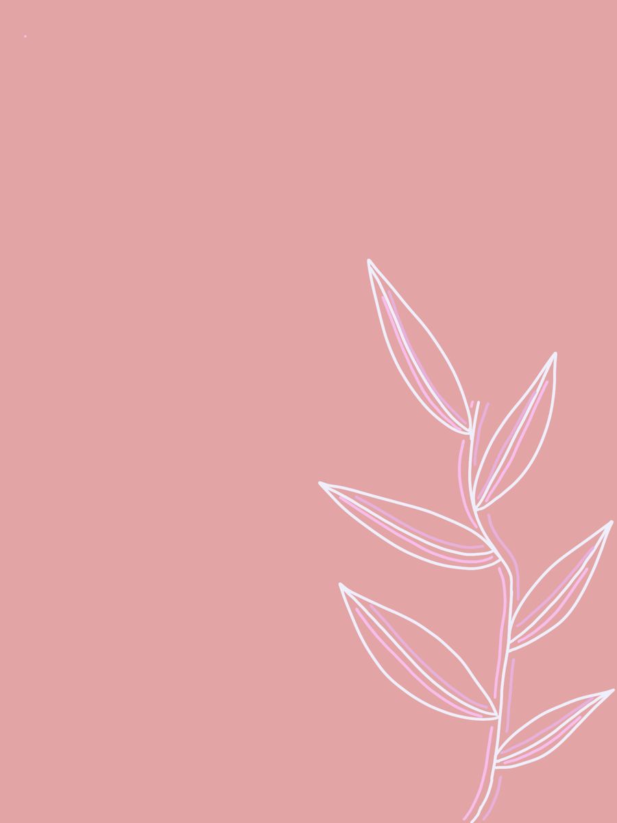 Minimalist Pink Plant Wallpaper