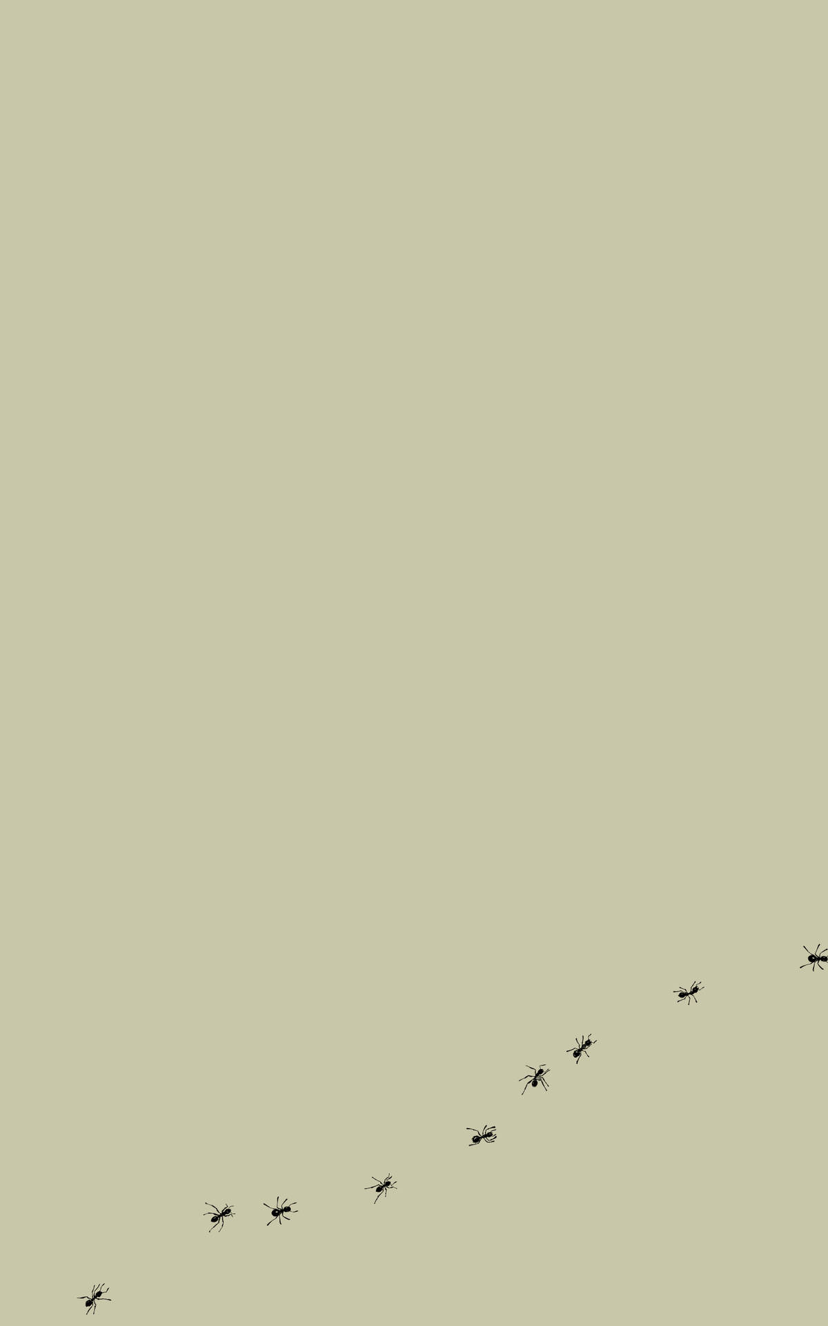Download Ants Minimalist iPad Wallpaper