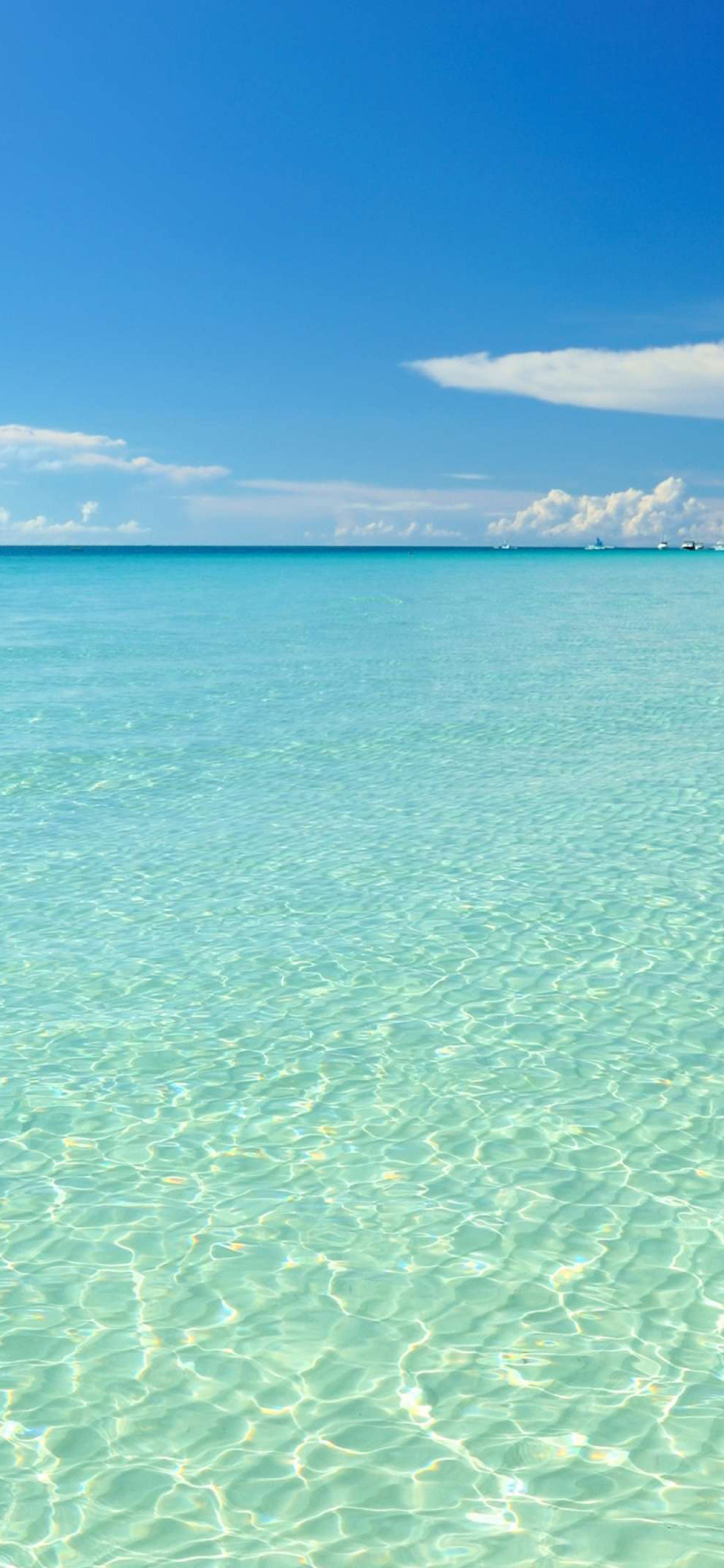 4K Summer Wallpaper for Desktop, iPad & iPhone