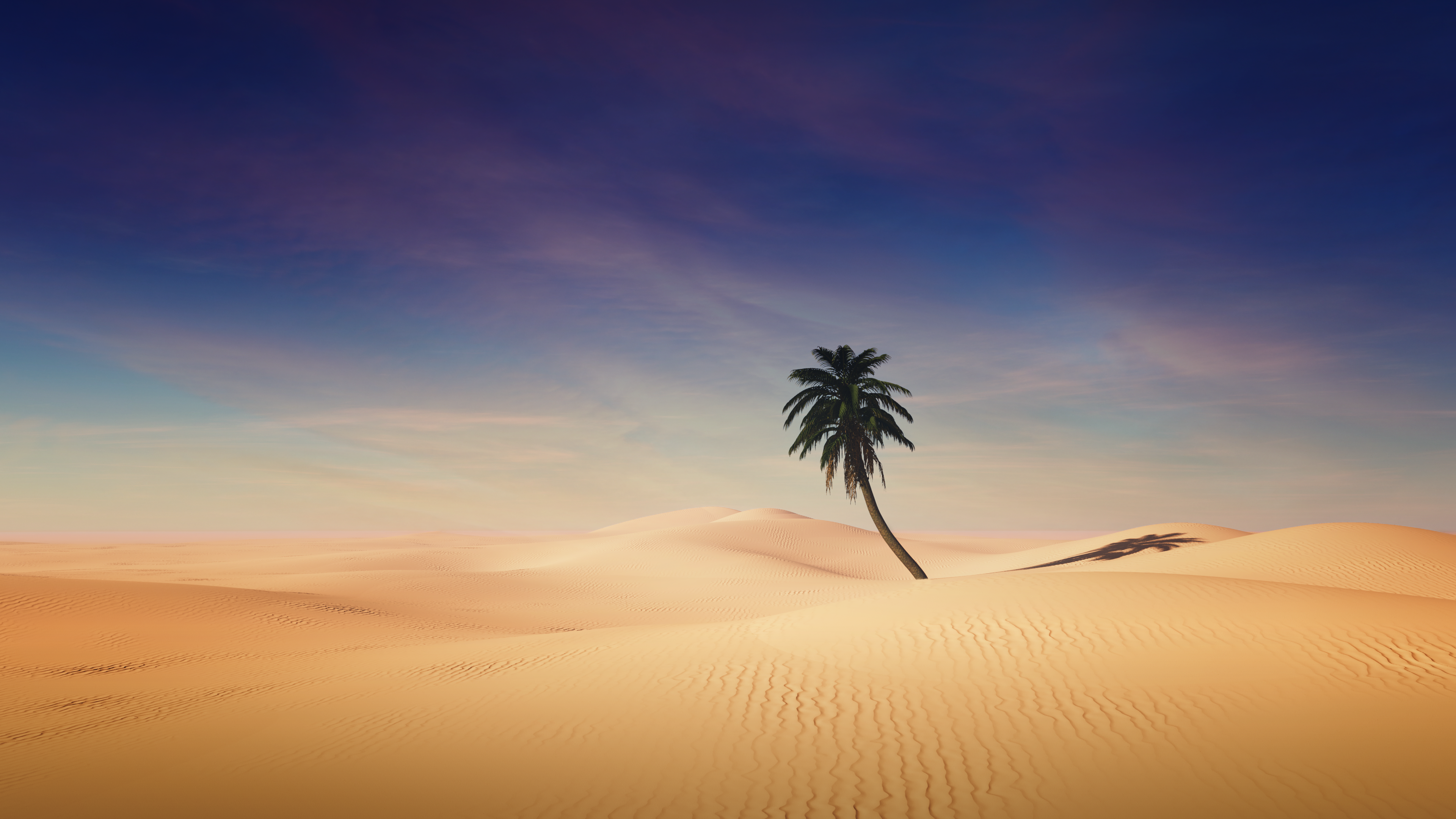Palm tree Wallpaper 4K, Desert, Sand Dunes, Clear sky