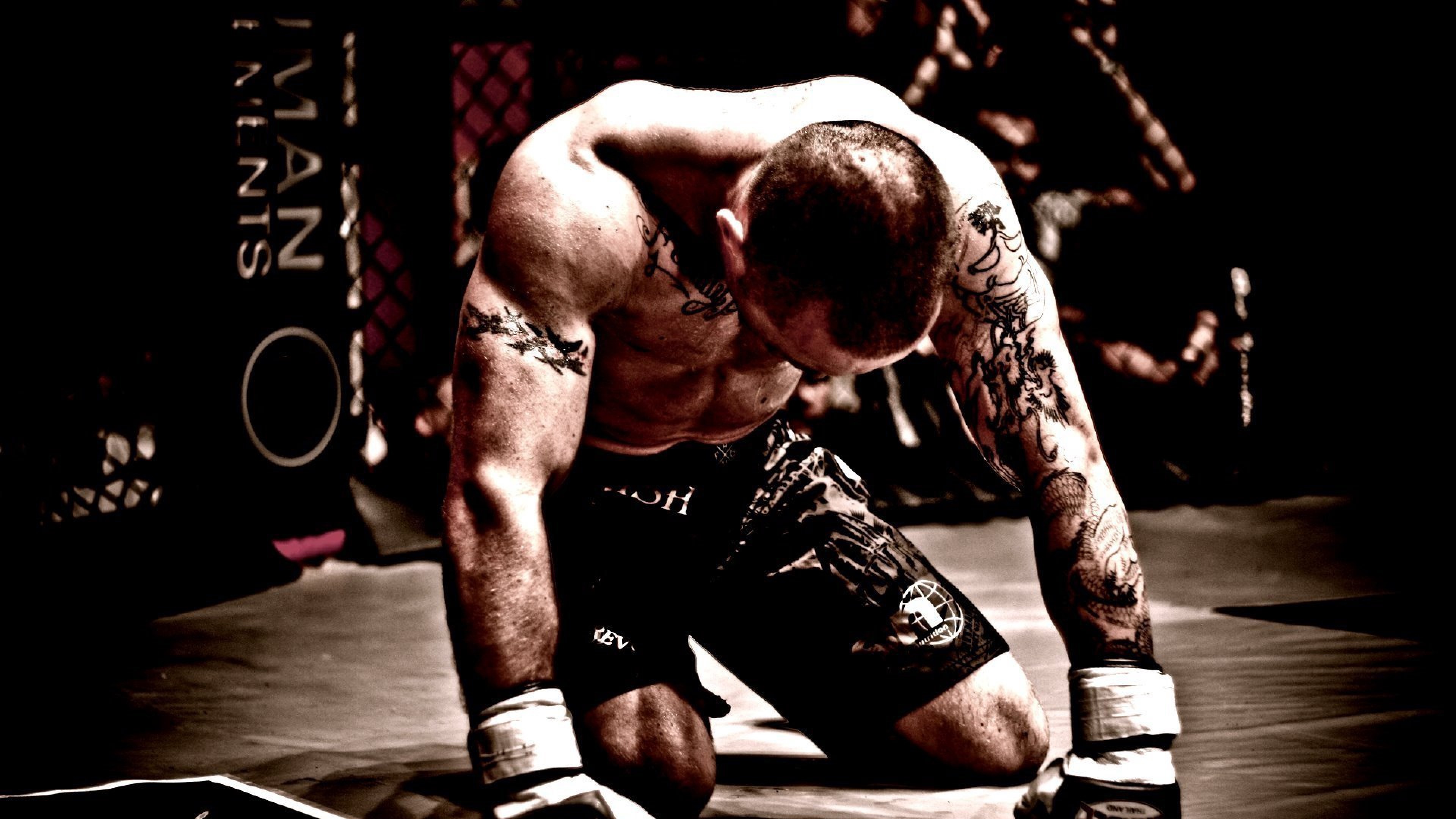 Martial Arts Fighter HD Wallpaper 4K Ultra HD Wallpaper .net