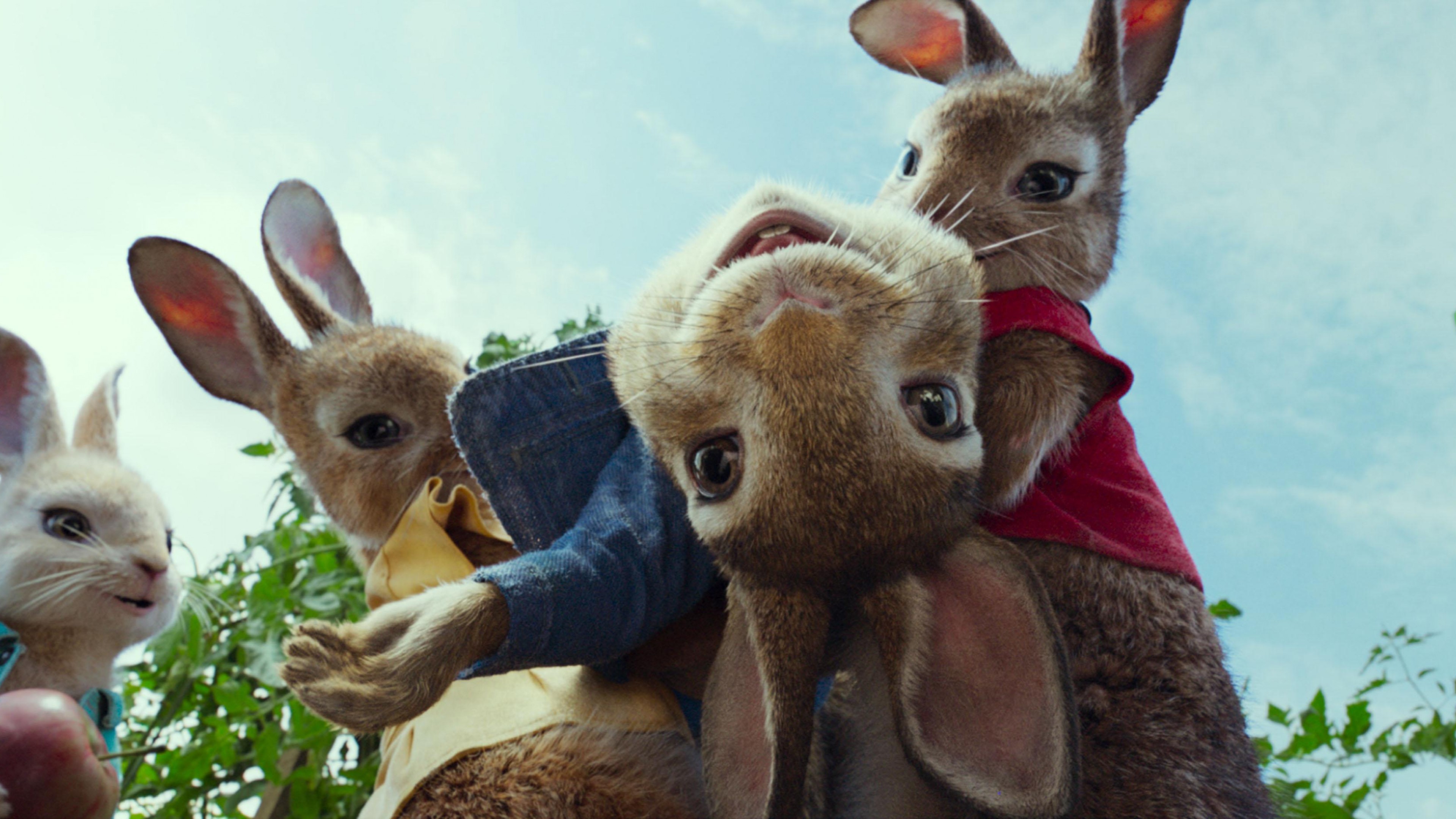 Wallpaper Peter Rabbit, 4k, Movies