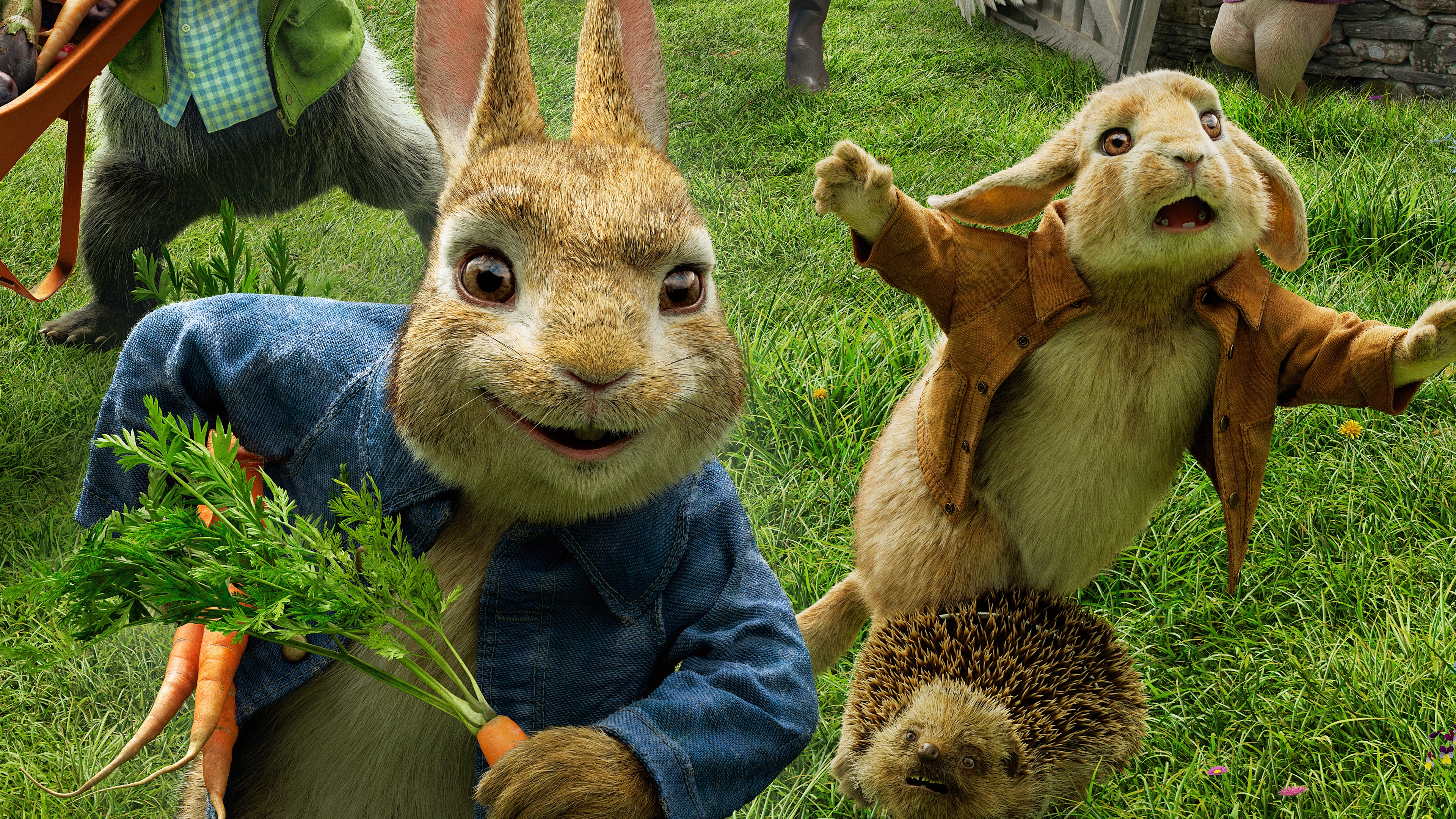 Free download Peter Rabbit 4K 8K HD Wallpaper [3840x2160] for your Desktop, Mobile & Tablet. Explore Peter Rabbit Wallpaper. Jessica Rabbit Wallpaper, Peter Parker Wallpaper, Rabbit Wallpaper
