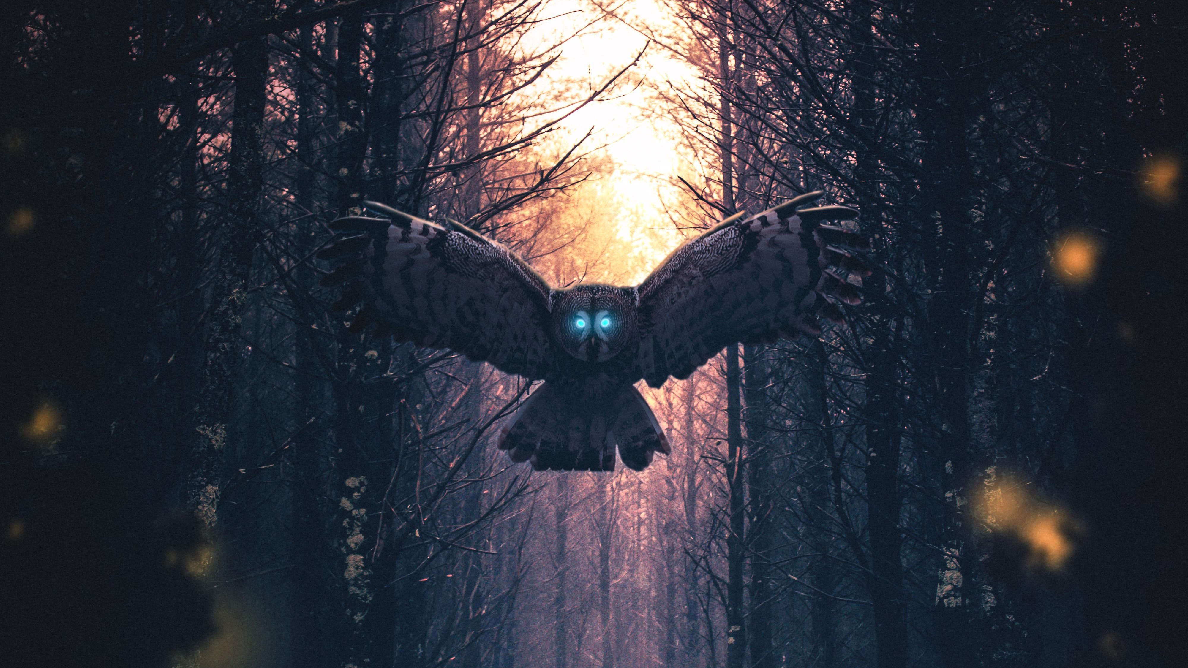Wallpaper / owl, artist, artwork, digital art, hd, 4k free download