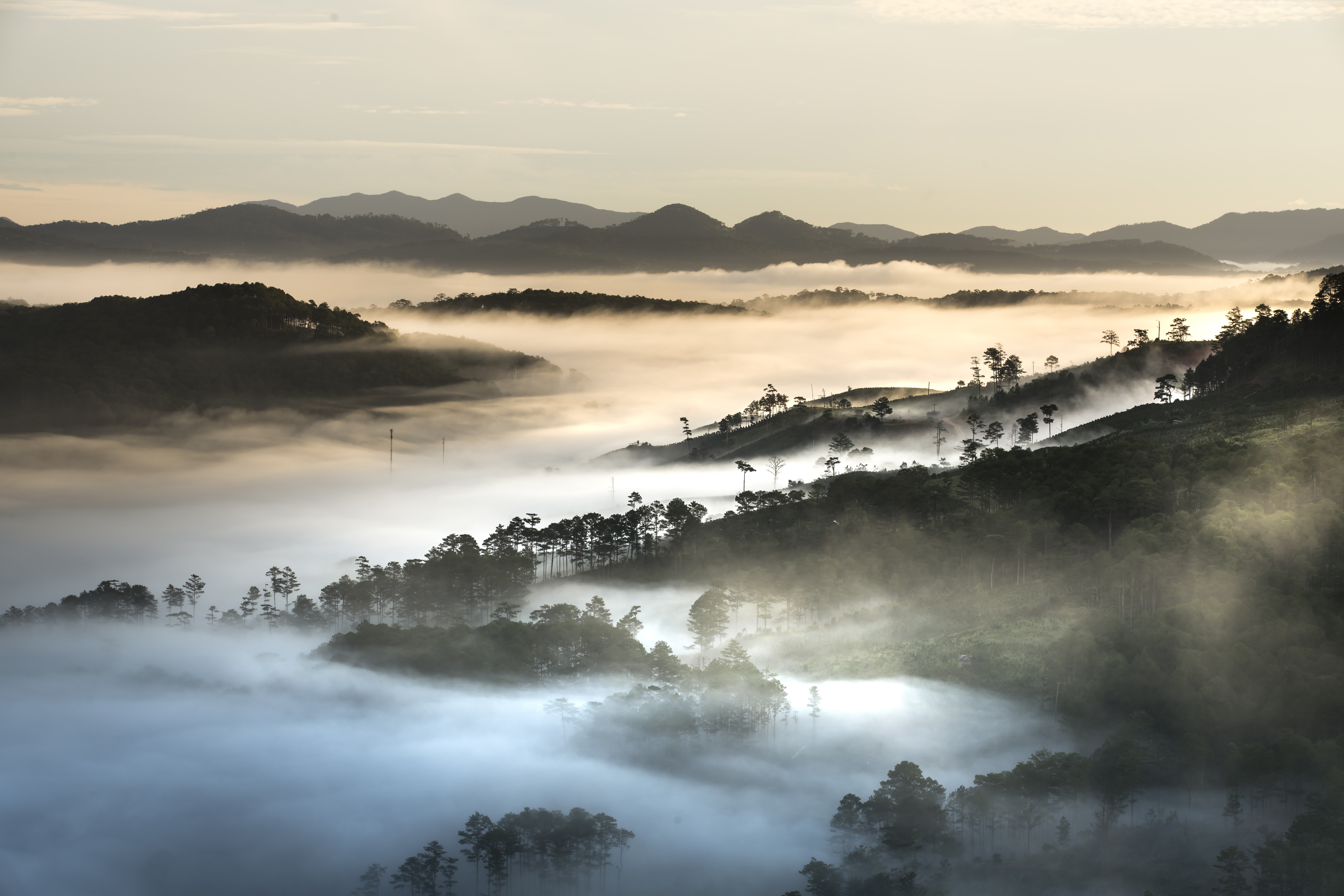 4K, 5K, 6K, 7K, Da Lat, Lubang plateau, Vietnam, Mountains, Forests, Scenery, Fog Gallery HD Wallpaper