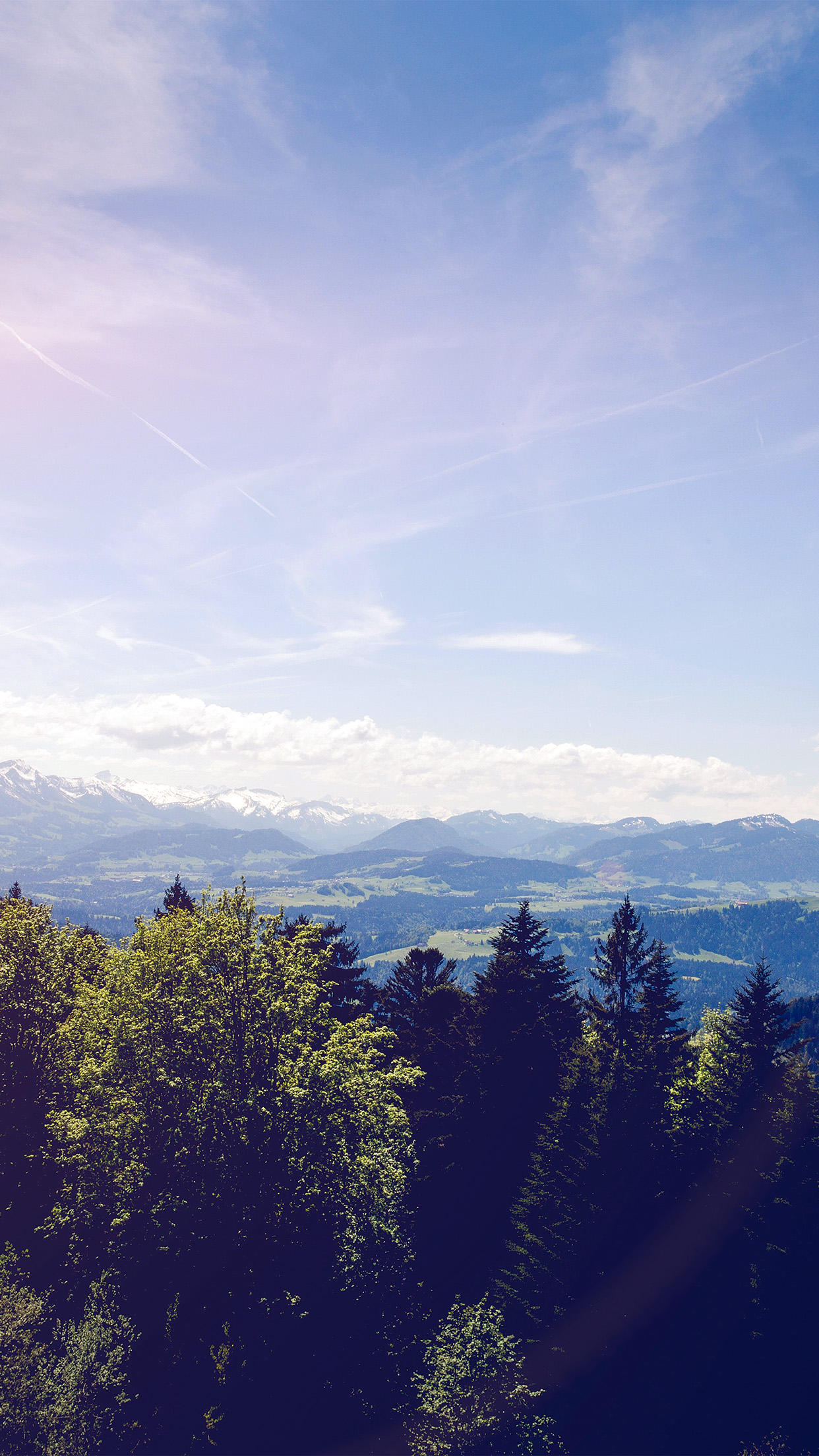 Green Land Sky Blue Summer Nature