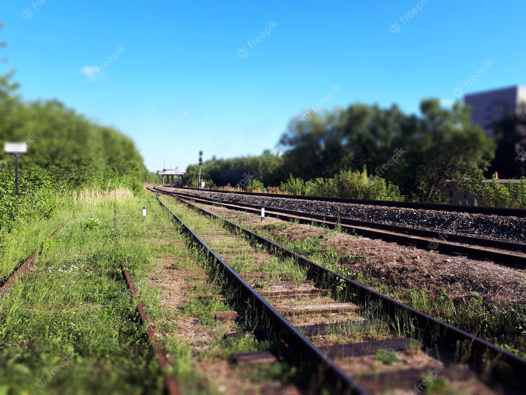 Premium Photo. View from lawn and ground of train tracks in summer railroad track in perspective on blue sky