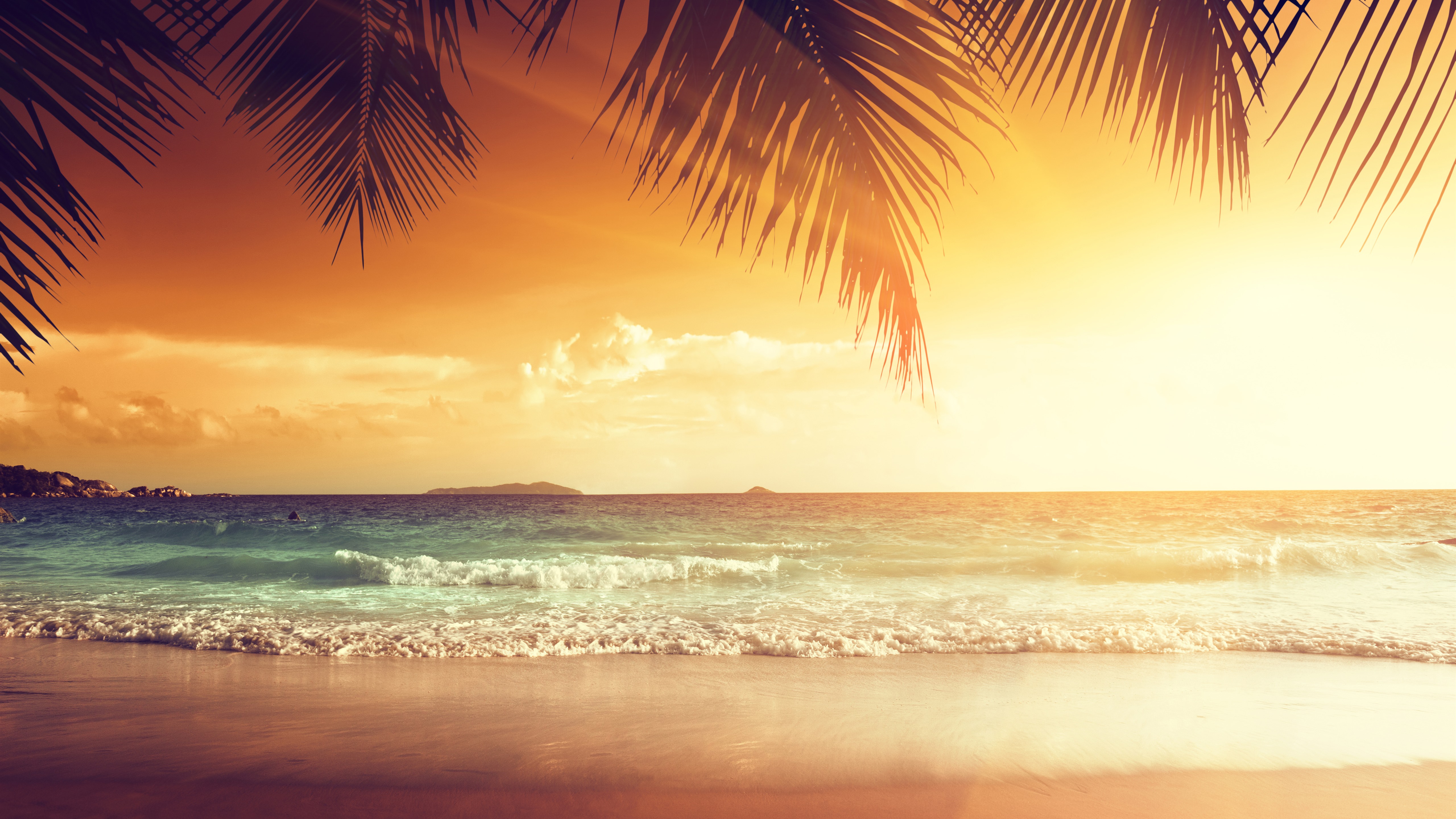 Wallpaper Beautiful sunset, palm tree leaves, beach, sea, tropical, summer 5120x2880 UHD 5K Picture, Image