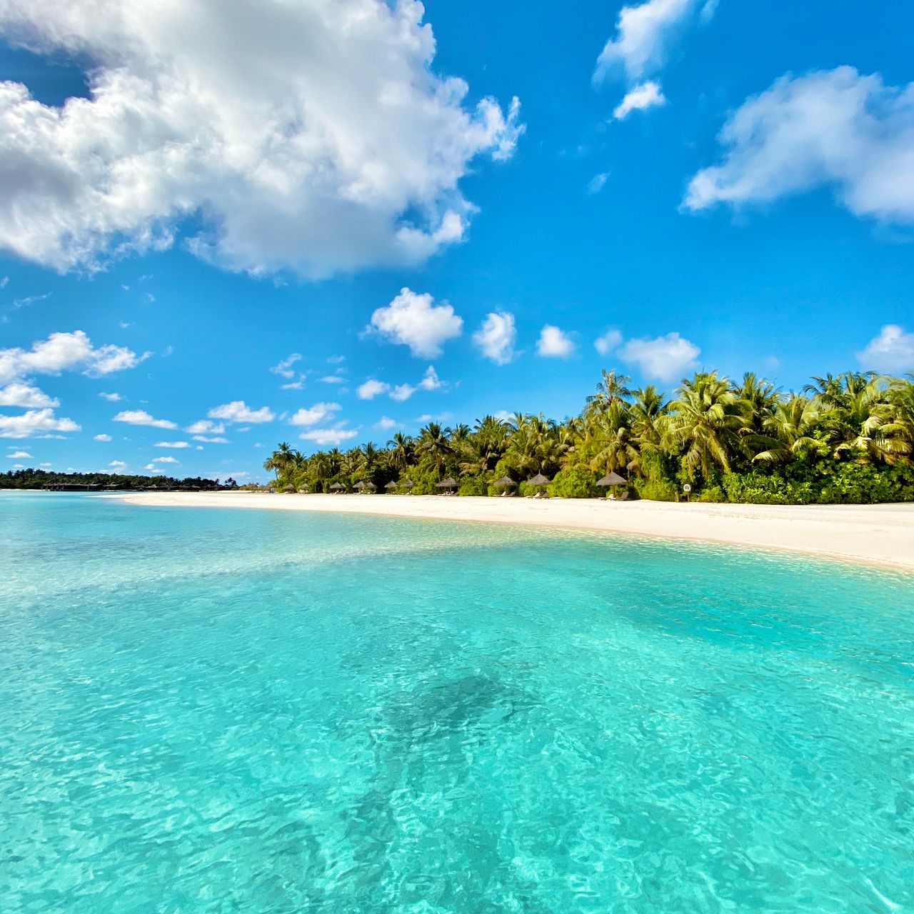 Download wallpaper 1280x1280 sea, beach, palm trees, summer, tropics ipad, ipad 2, ipad mini for parallax HD background