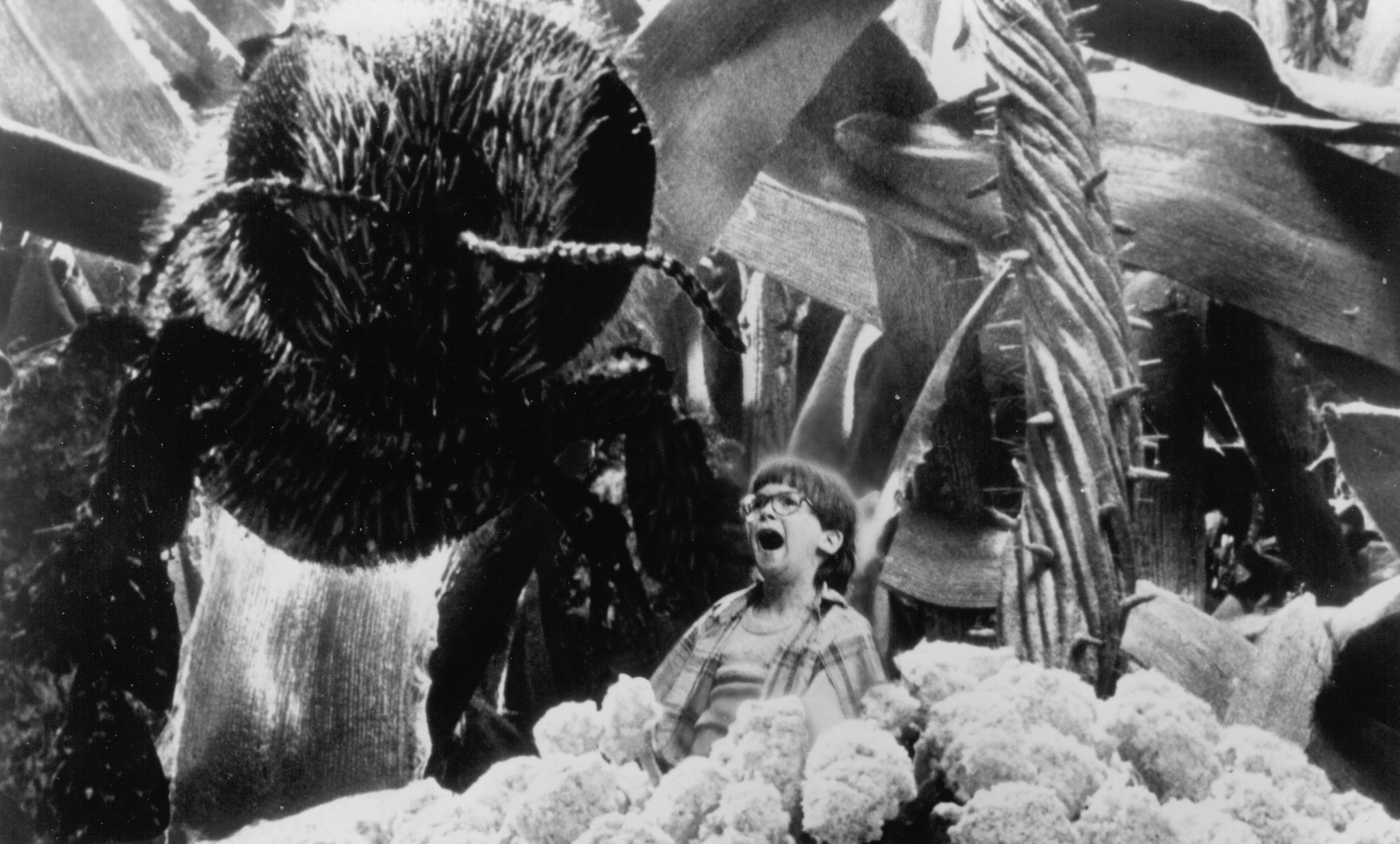 Honey, I Shrunk the Kids