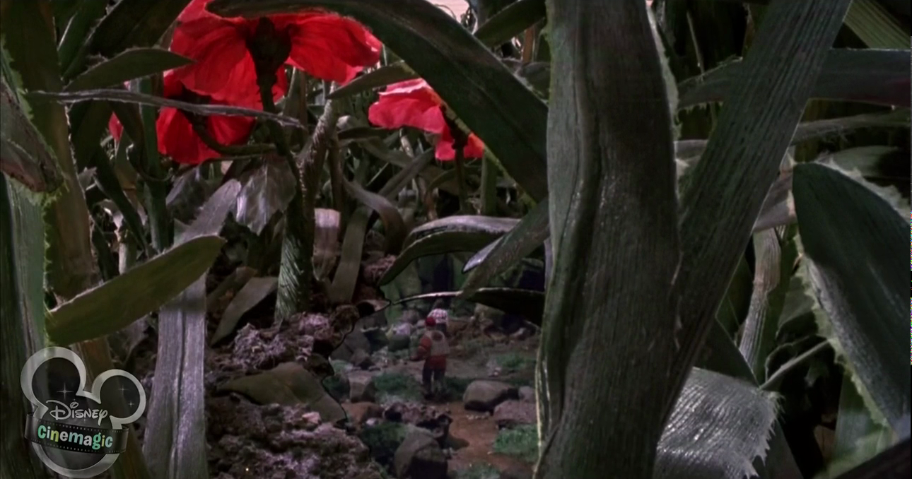 Honey I Shrunk The Kids pic, I shrunk the kids Photo