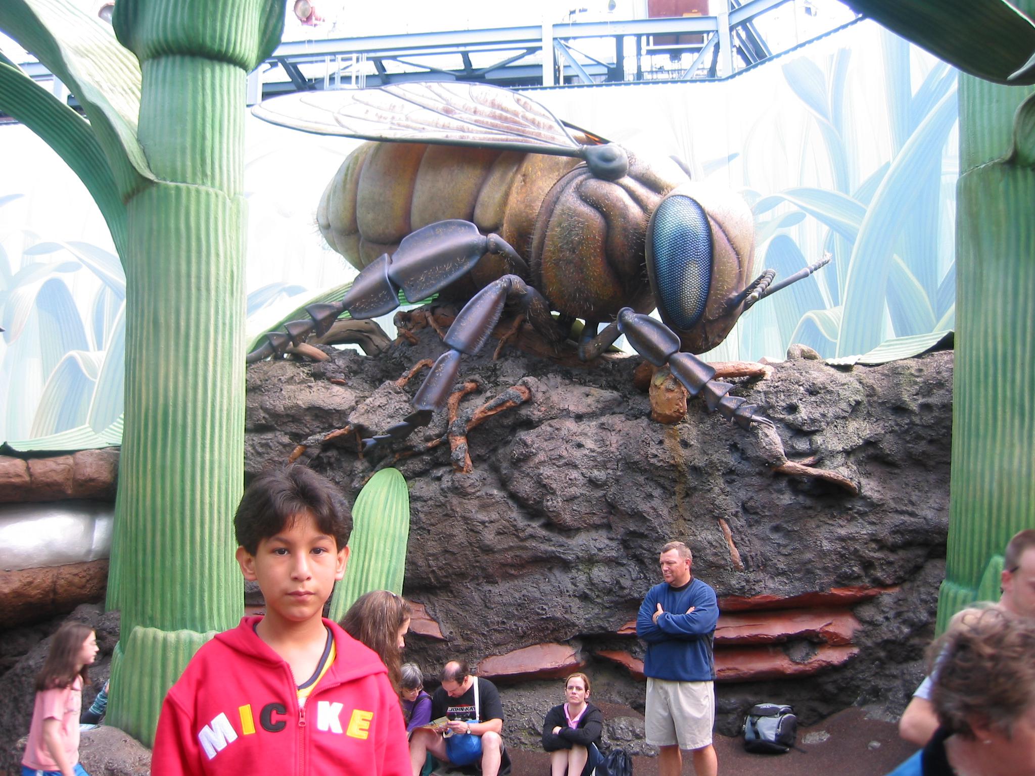 Hollywood Studios I Shrunk the Kids