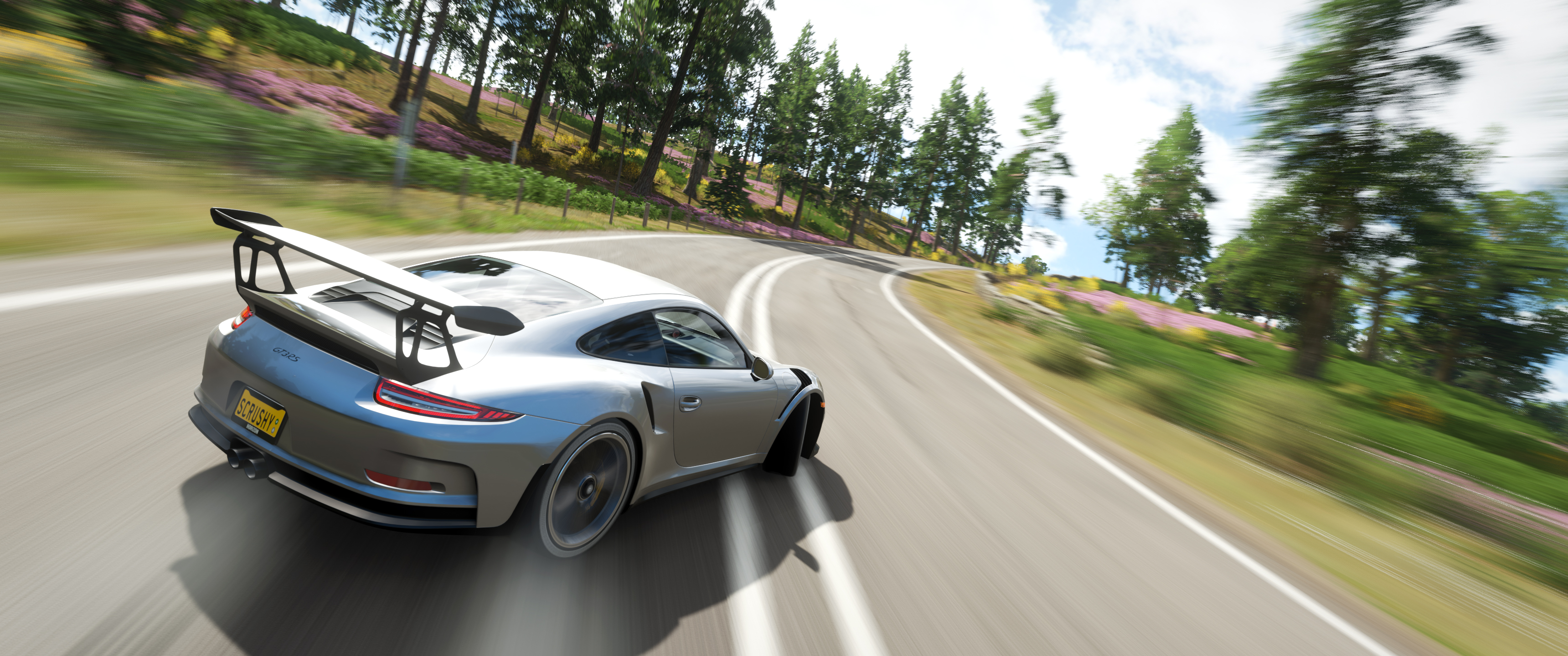 Forza Horizon 4 Video Games Porsche Wallpaper:3440x1440